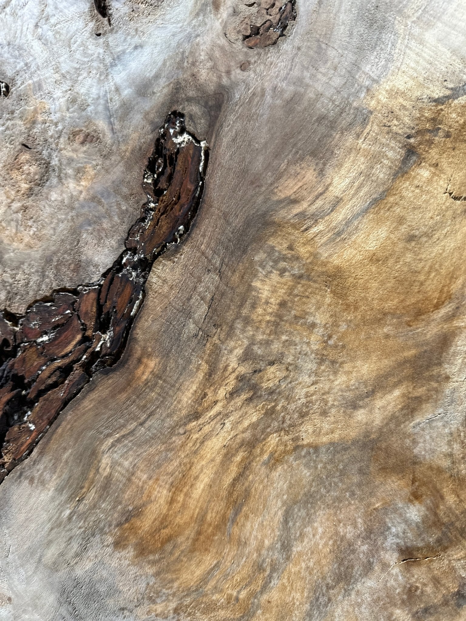 LiveEdge Silver Maple | Silver Maple | Hamilton Lee Supply