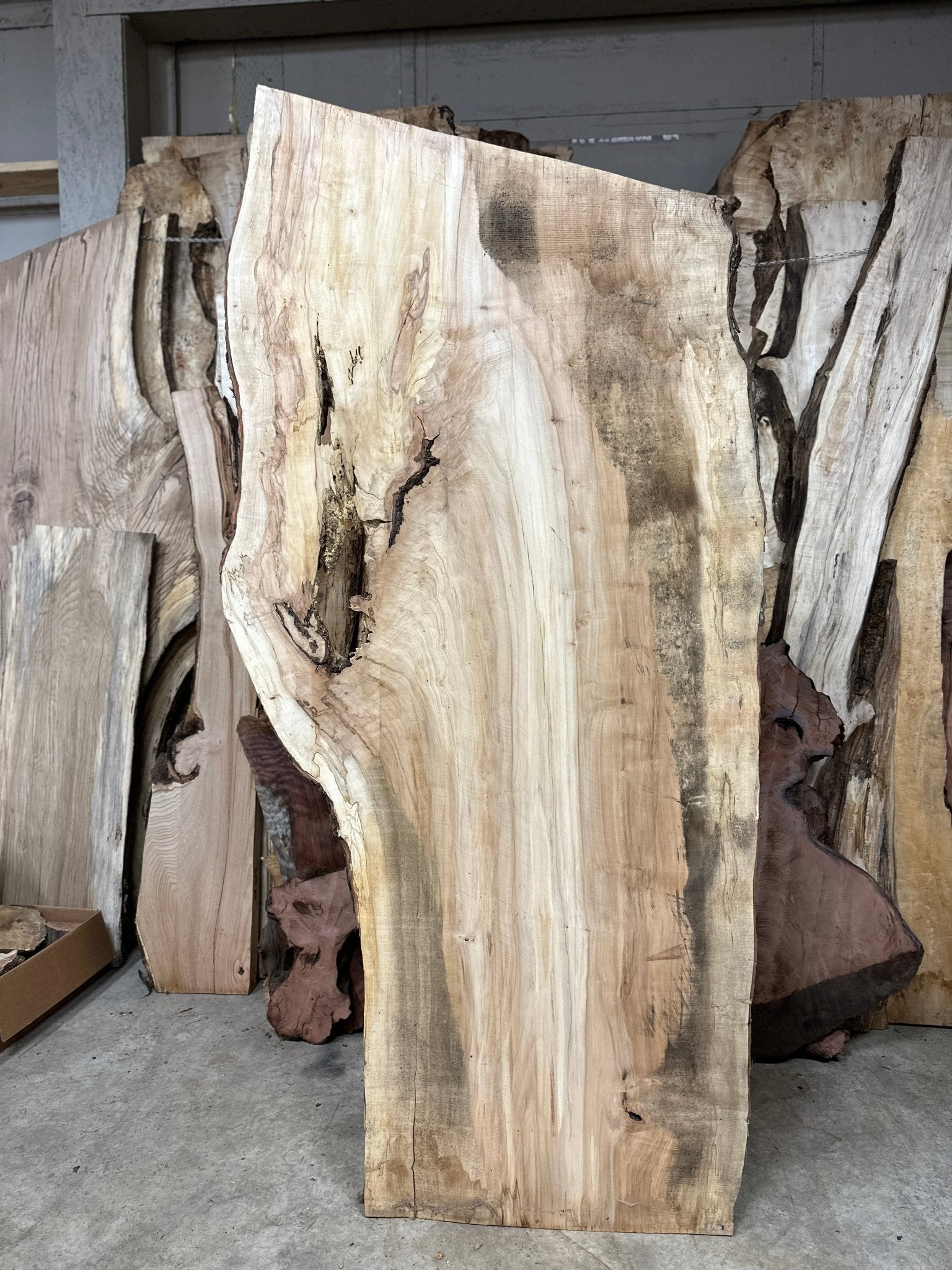 LiveEdge Silver Maple | Silver Maple | Hamilton Lee Supply
