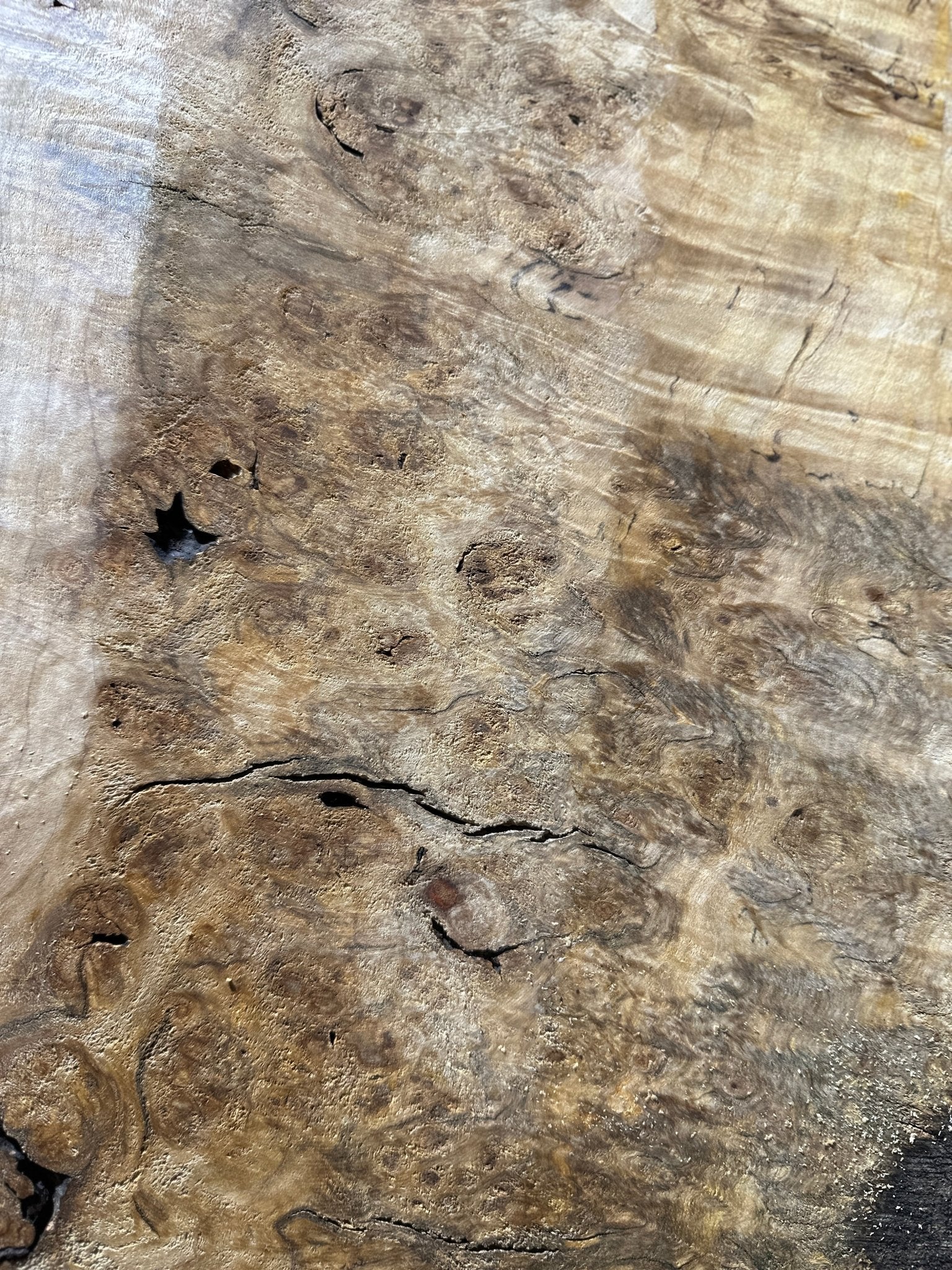 LiveEdge Silver Maple | Silver Maple | Hamilton Lee Supply