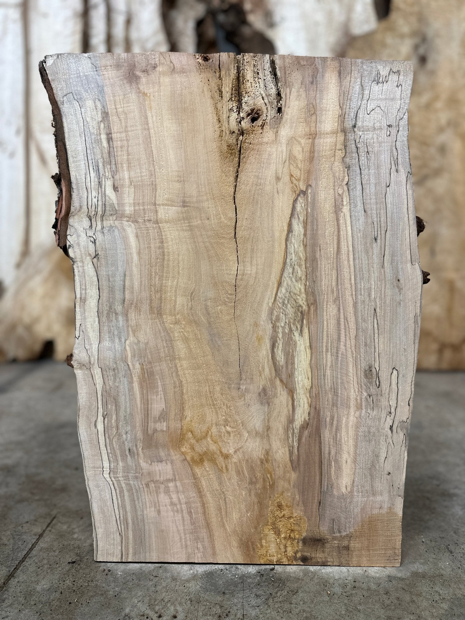 LiveEdge Silver Maple | Silver Maple | Hamilton Lee Supply