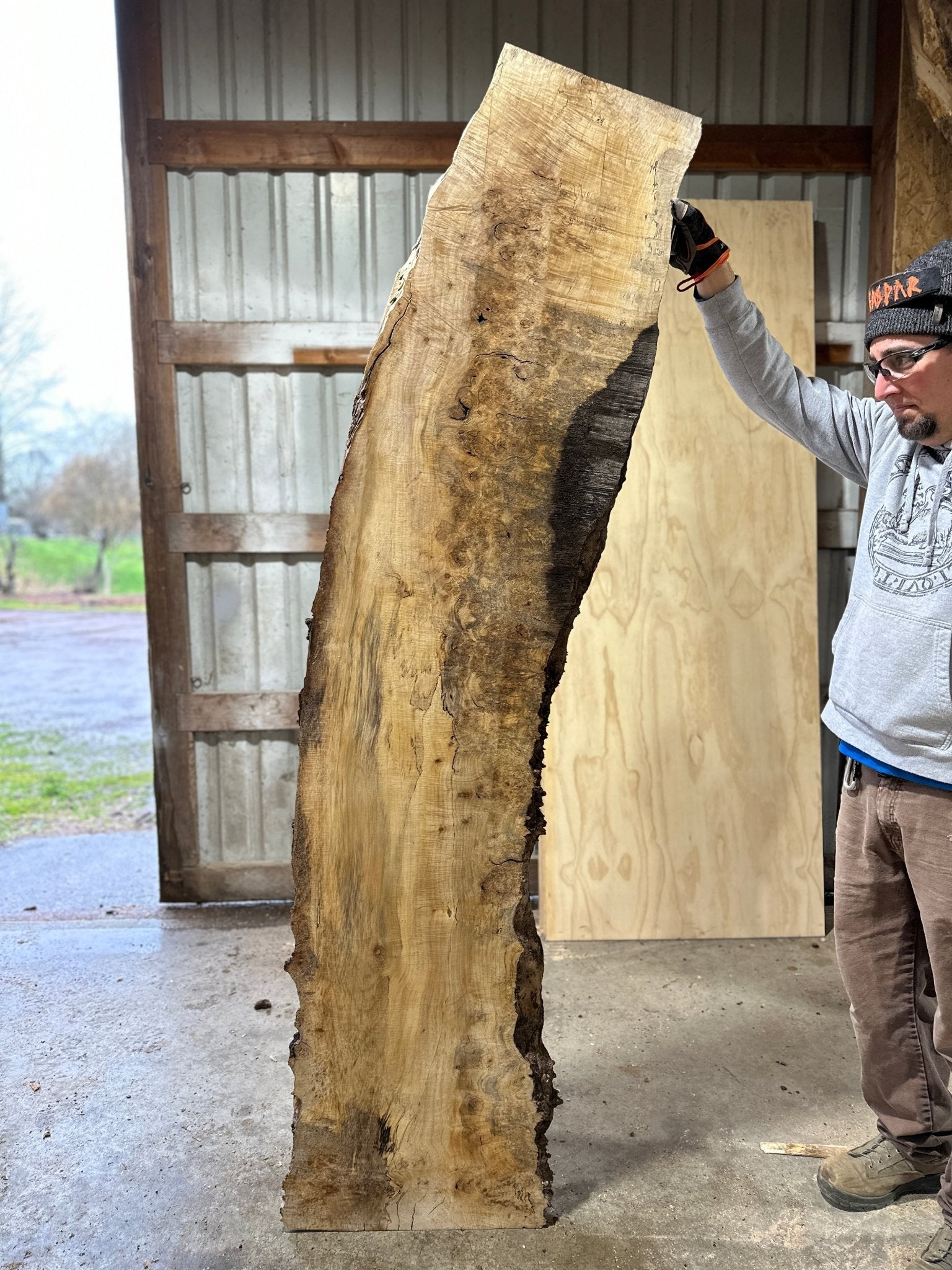 LiveEdge Silver Maple | Silver Maple | Hamilton Lee Supply