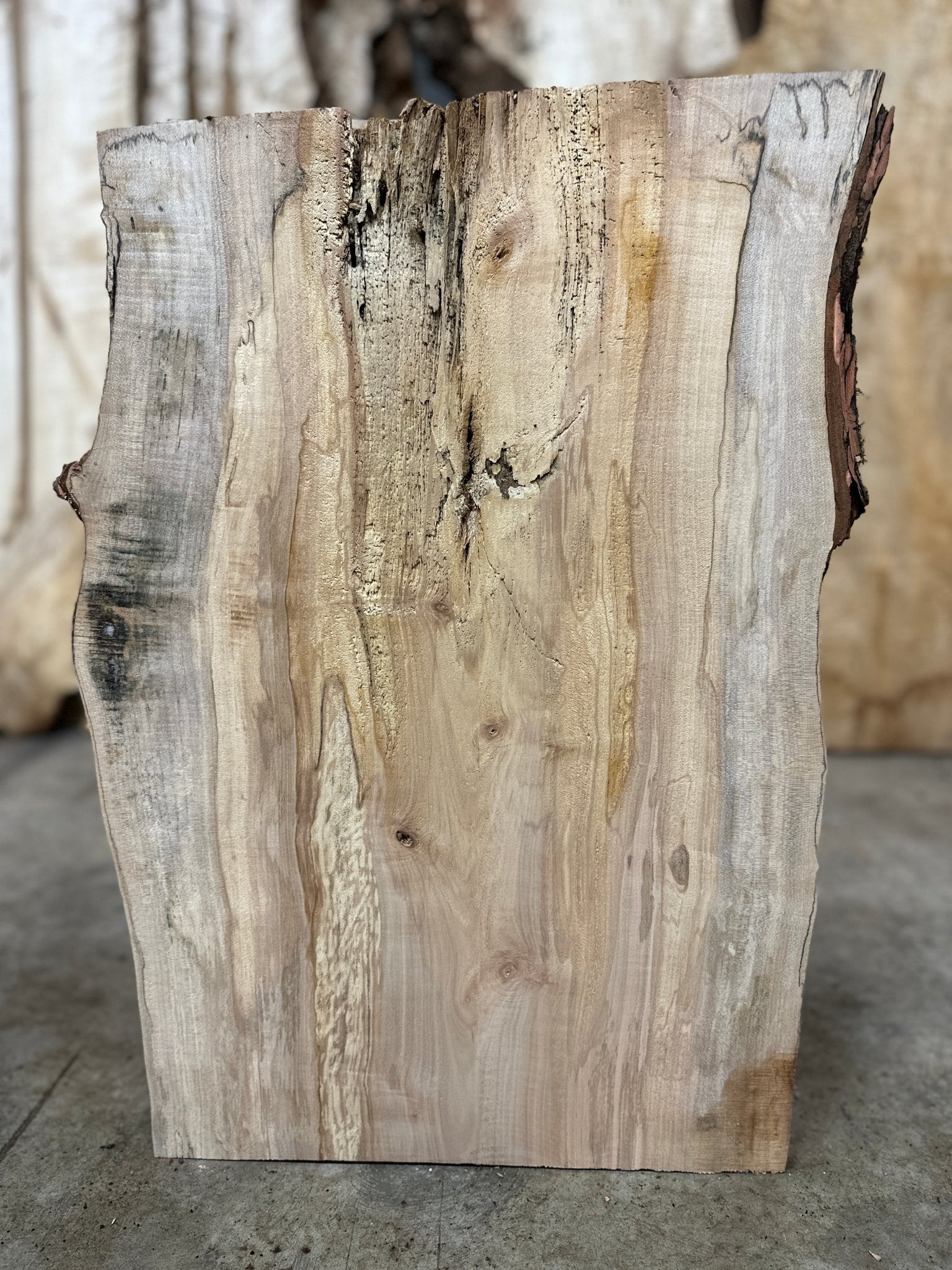 LiveEdge Silver Maple | Silver Maple | Hamilton Lee Supply