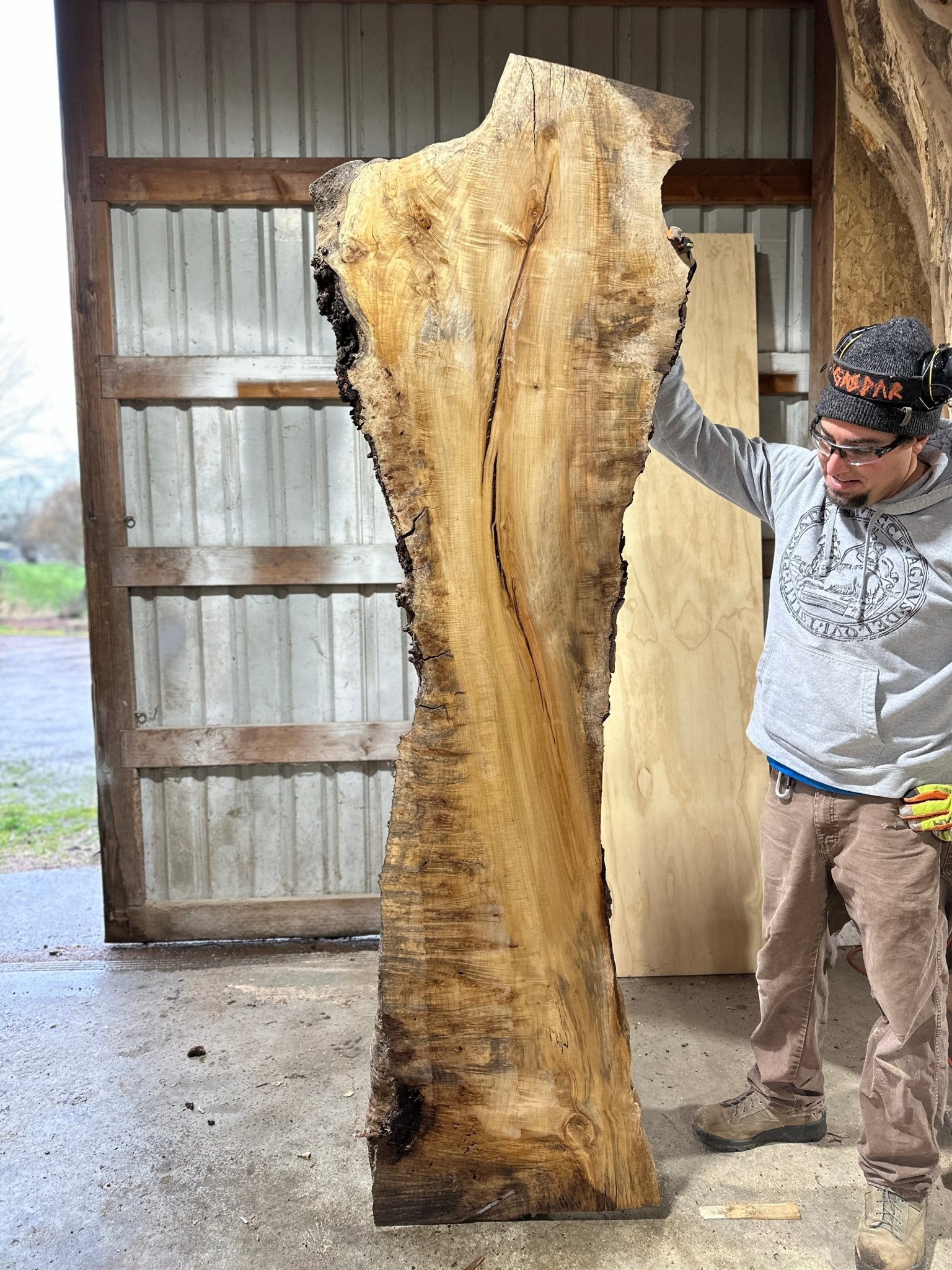 LiveEdge Silver Maple | Silver Maple | Hamilton Lee Supply