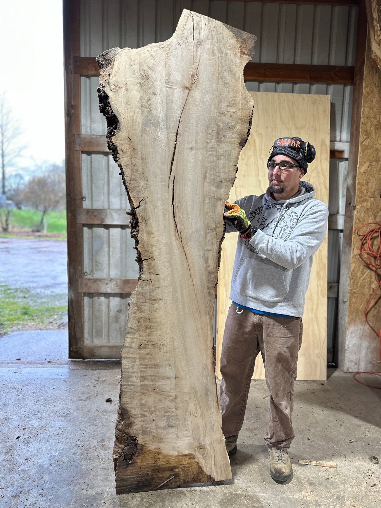 LiveEdge Silver Maple | Silver Maple | Hamilton Lee Supply