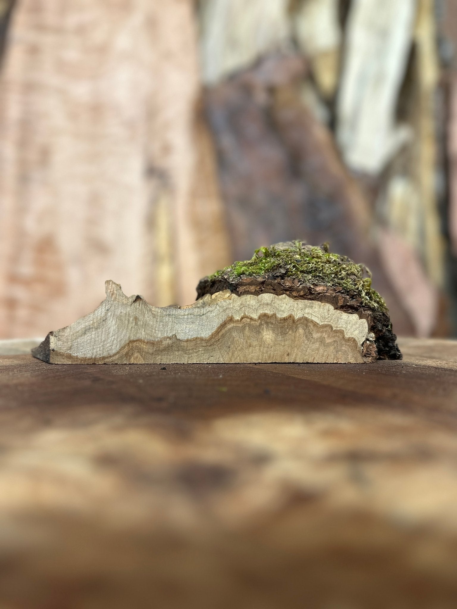 LiveEdge Silver Maple | Silver Maple | Hamilton Lee Supply