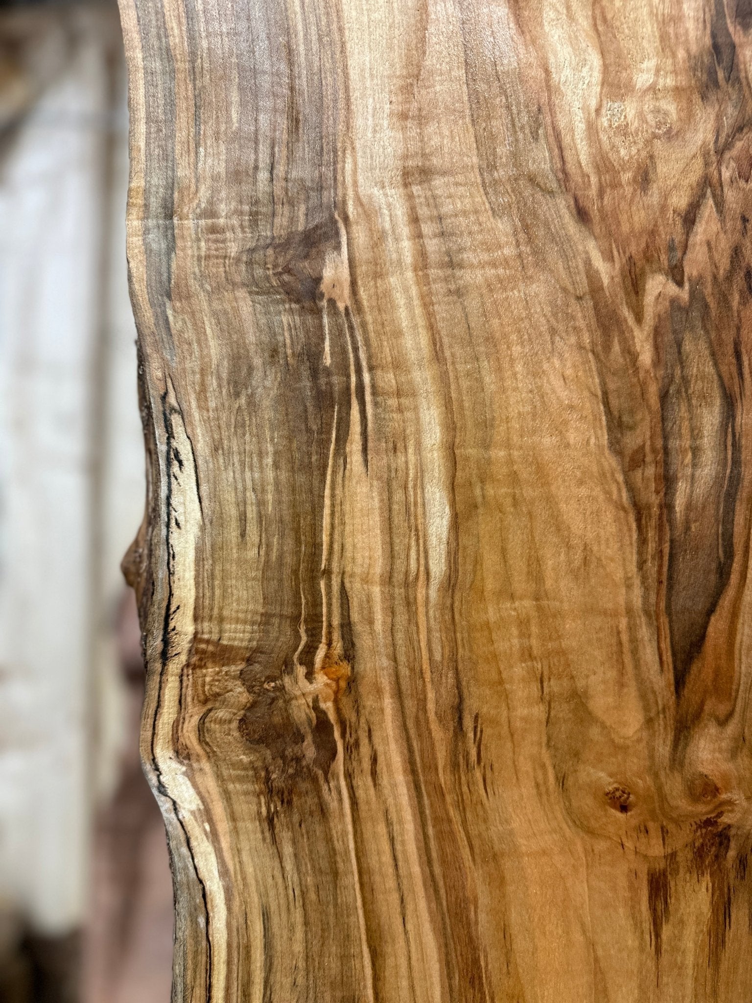 LiveEdge Silver Maple | Silver Maple | Hamilton Lee Supply