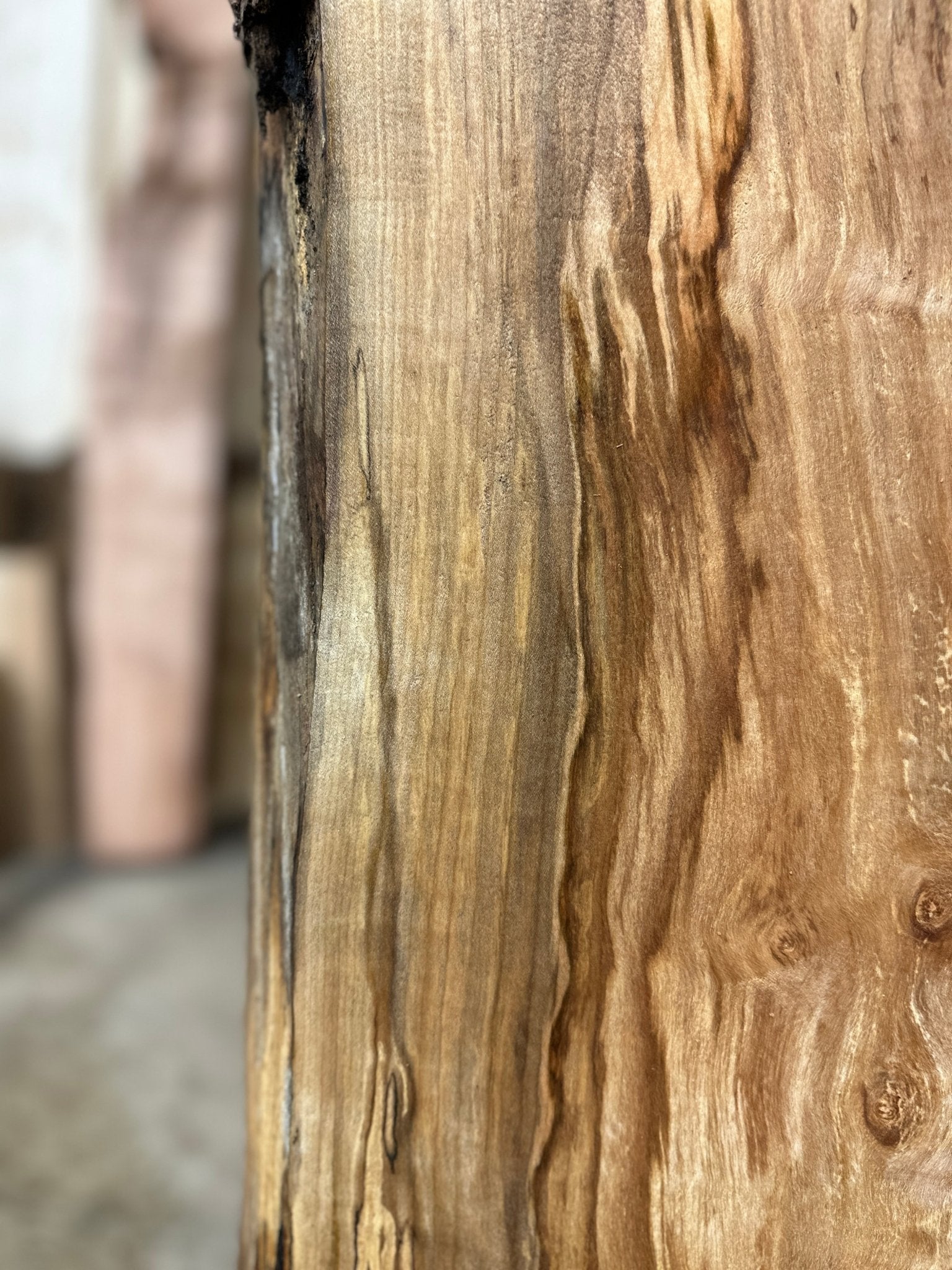 LiveEdge Silver Maple | Silver Maple | Hamilton Lee Supply