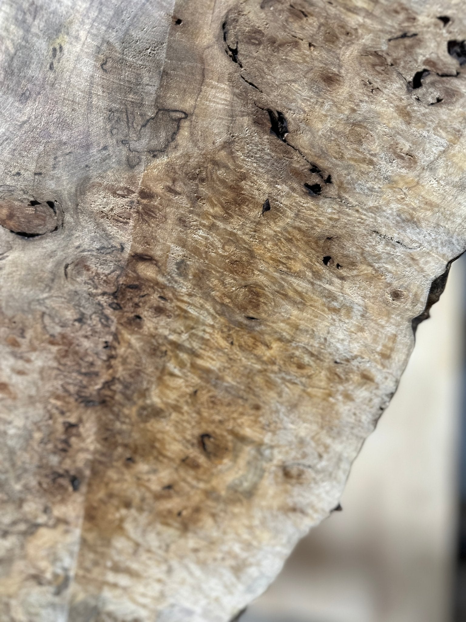 LiveEdge Silver Maple | Silver Maple | Hamilton Lee Supply