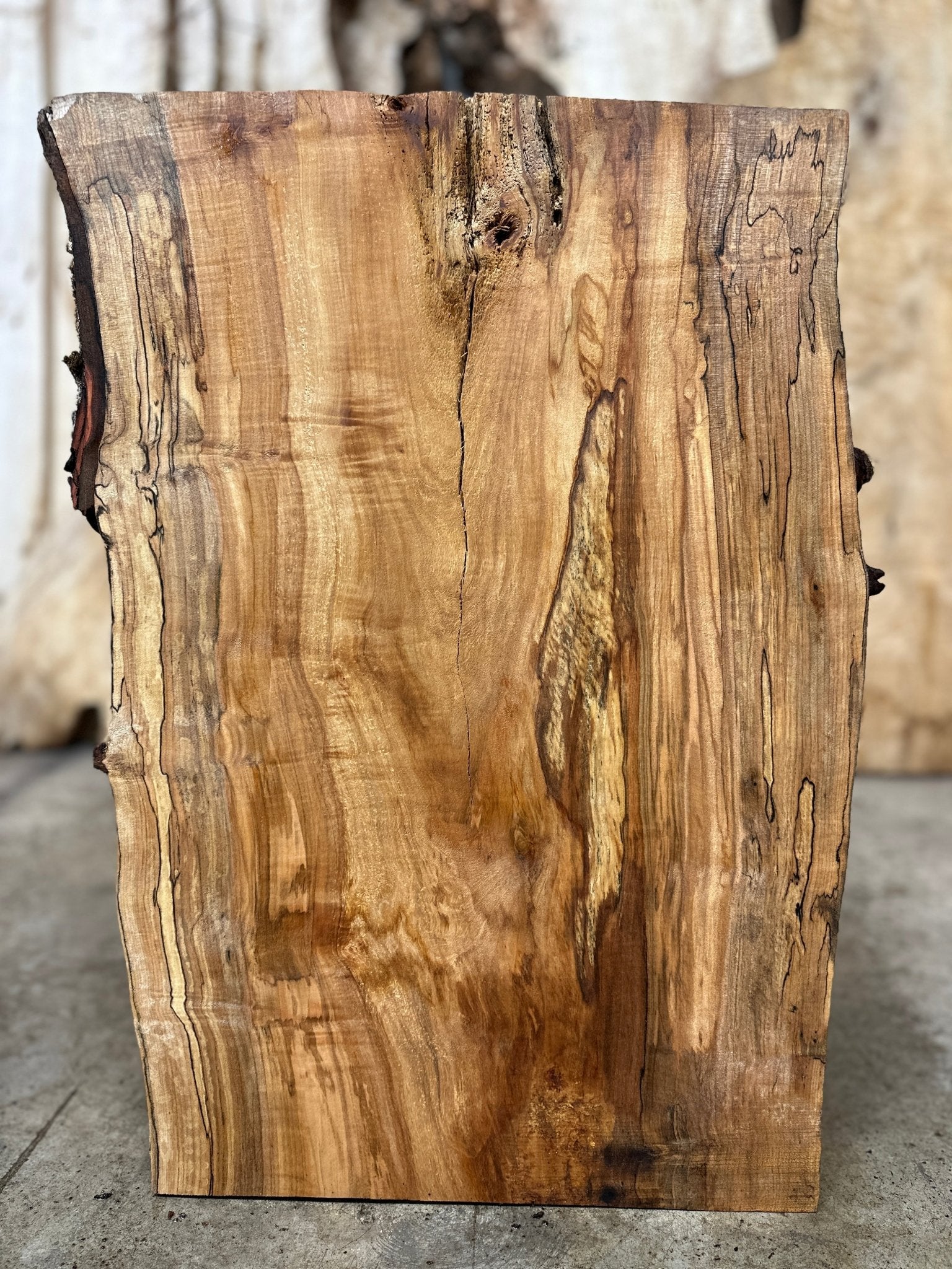 LiveEdge Silver Maple | Silver Maple | Hamilton Lee Supply