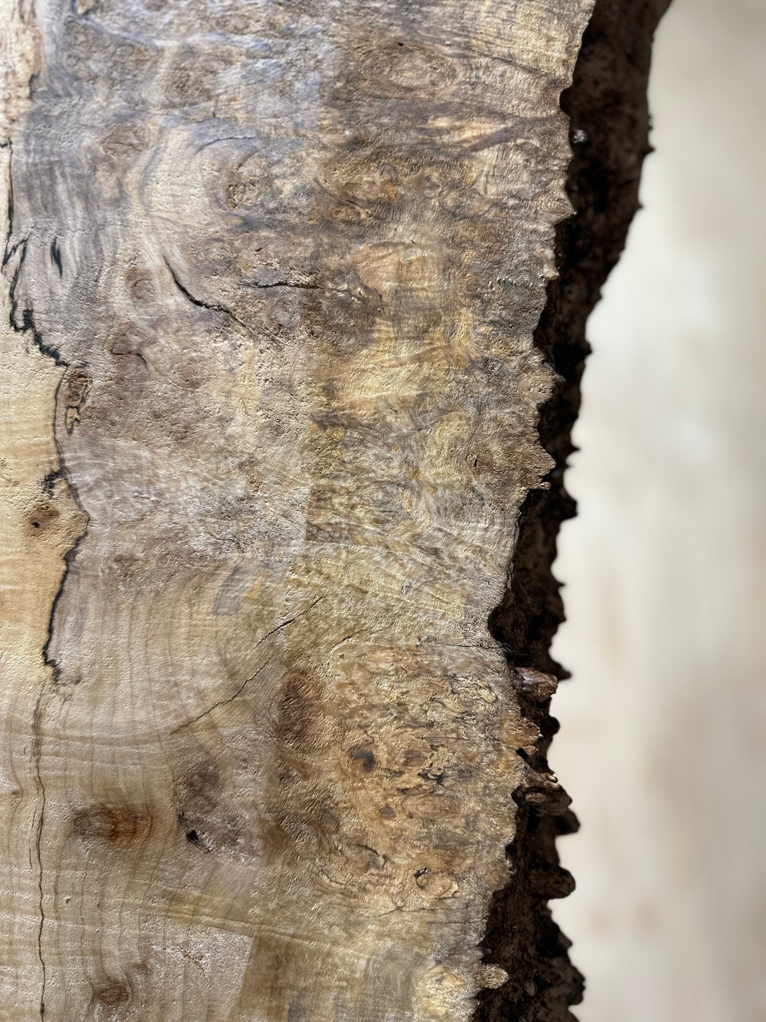 LiveEdge Silver Maple | Silver Maple | Hamilton Lee Supply