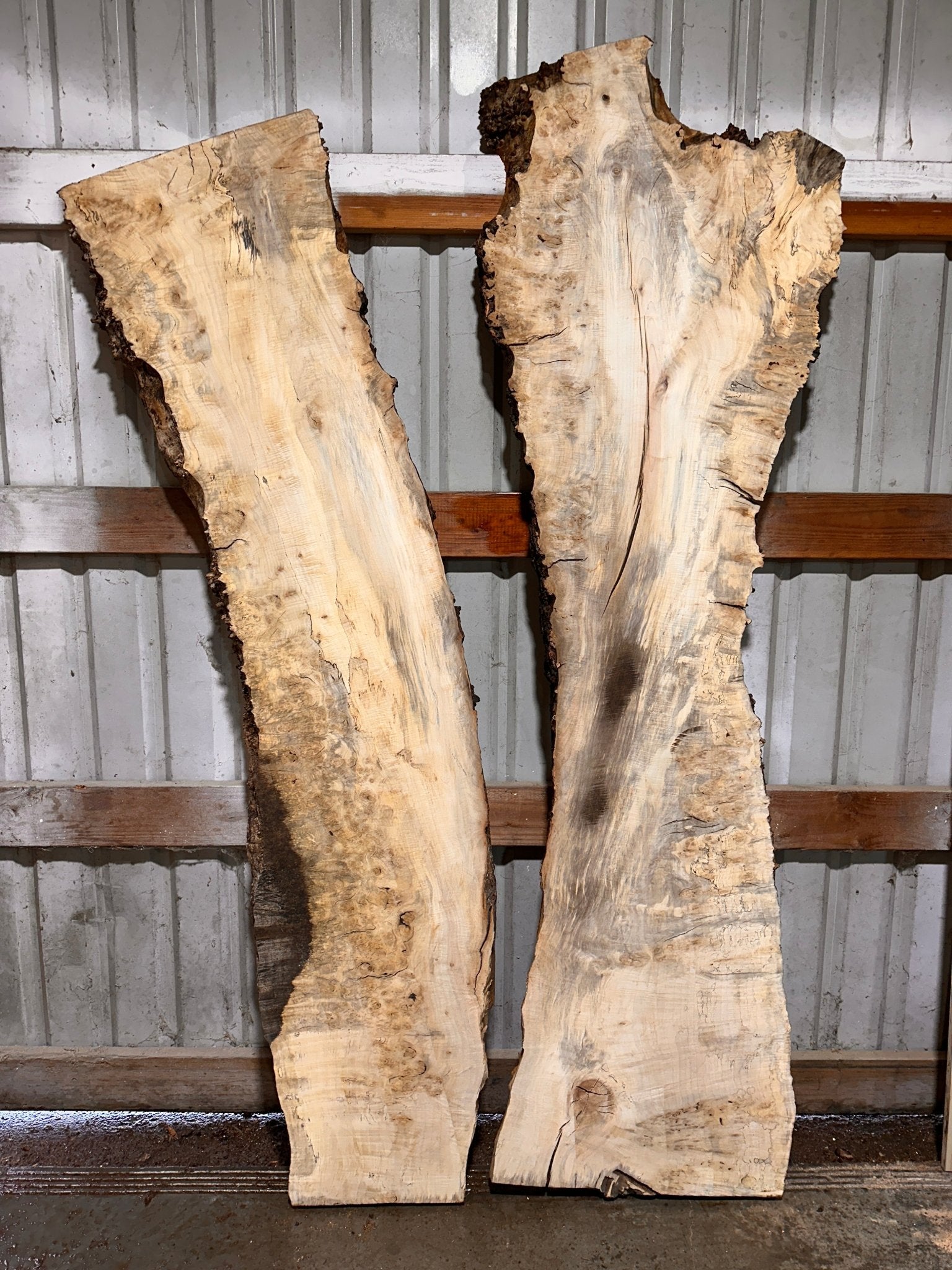 LiveEdge Silver Maple | Silver Maple | Hamilton Lee Supply