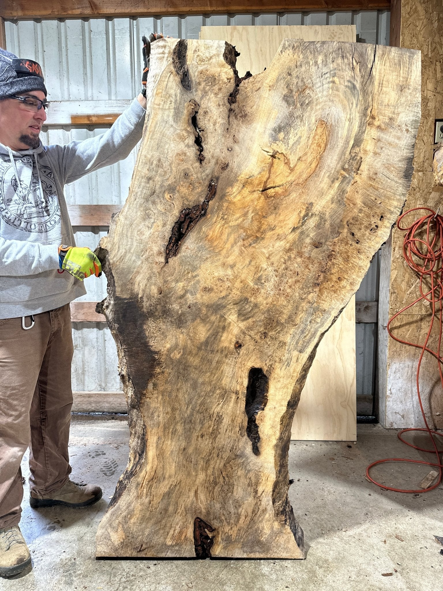 LiveEdge Silver Maple | Silver Maple | Hamilton Lee Supply