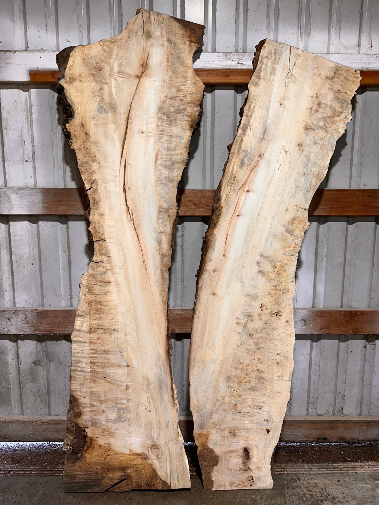 LiveEdge Silver Maple | Silver Maple | Hamilton Lee Supply