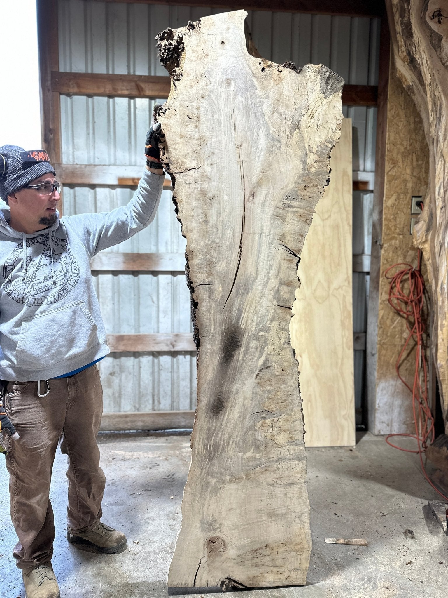 LiveEdge Silver Maple | Silver Maple | Hamilton Lee Supply