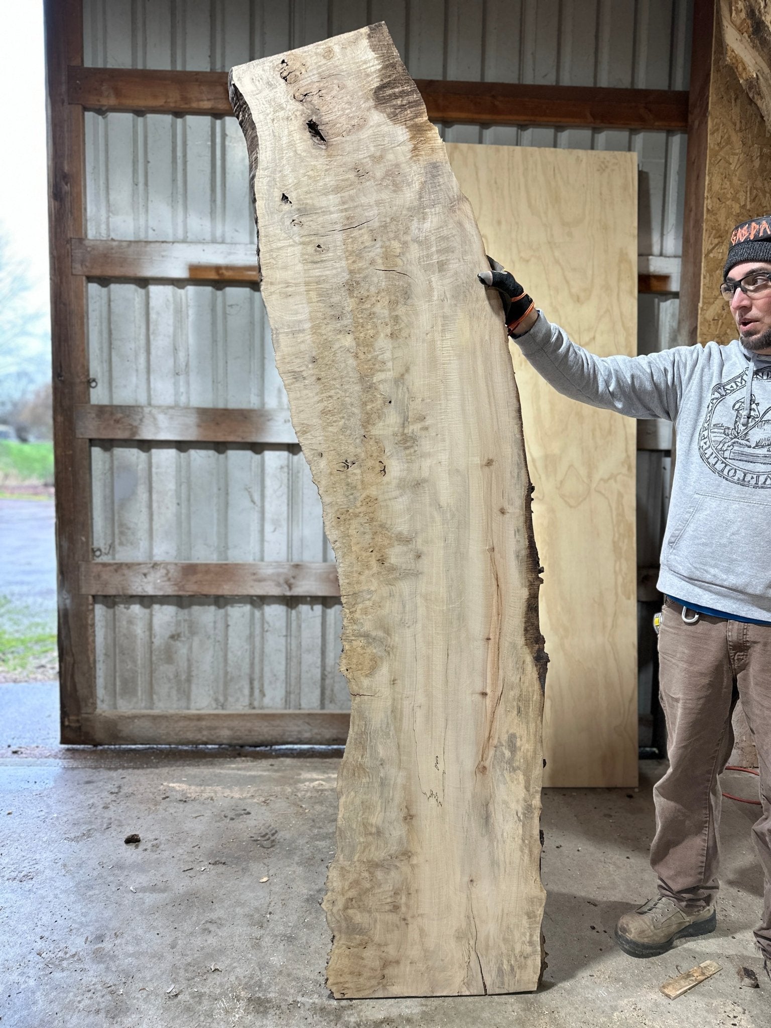 LiveEdge Silver Maple | Silver Maple | Hamilton Lee Supply