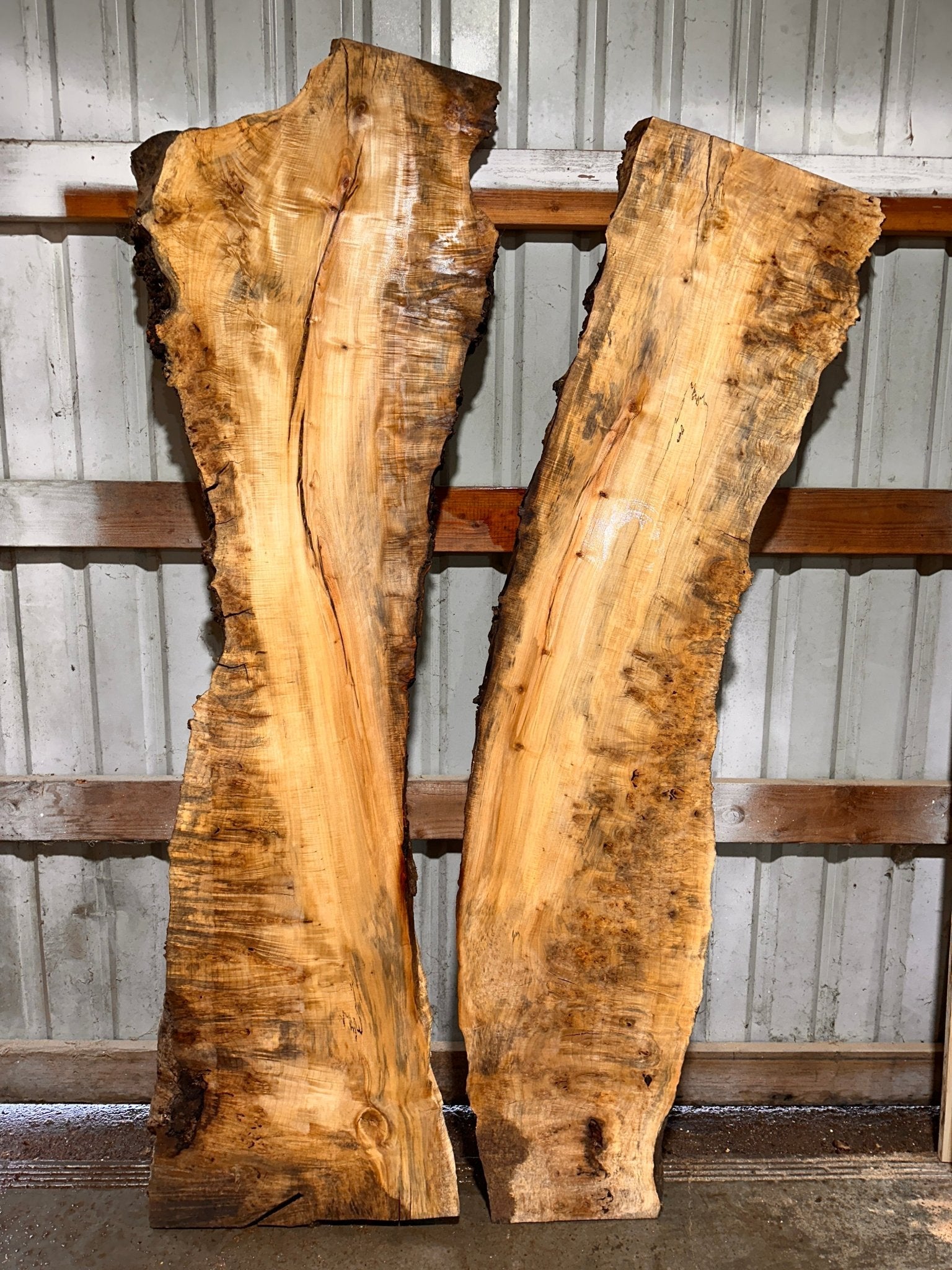 LiveEdge Silver Maple | Silver Maple | Hamilton Lee Supply