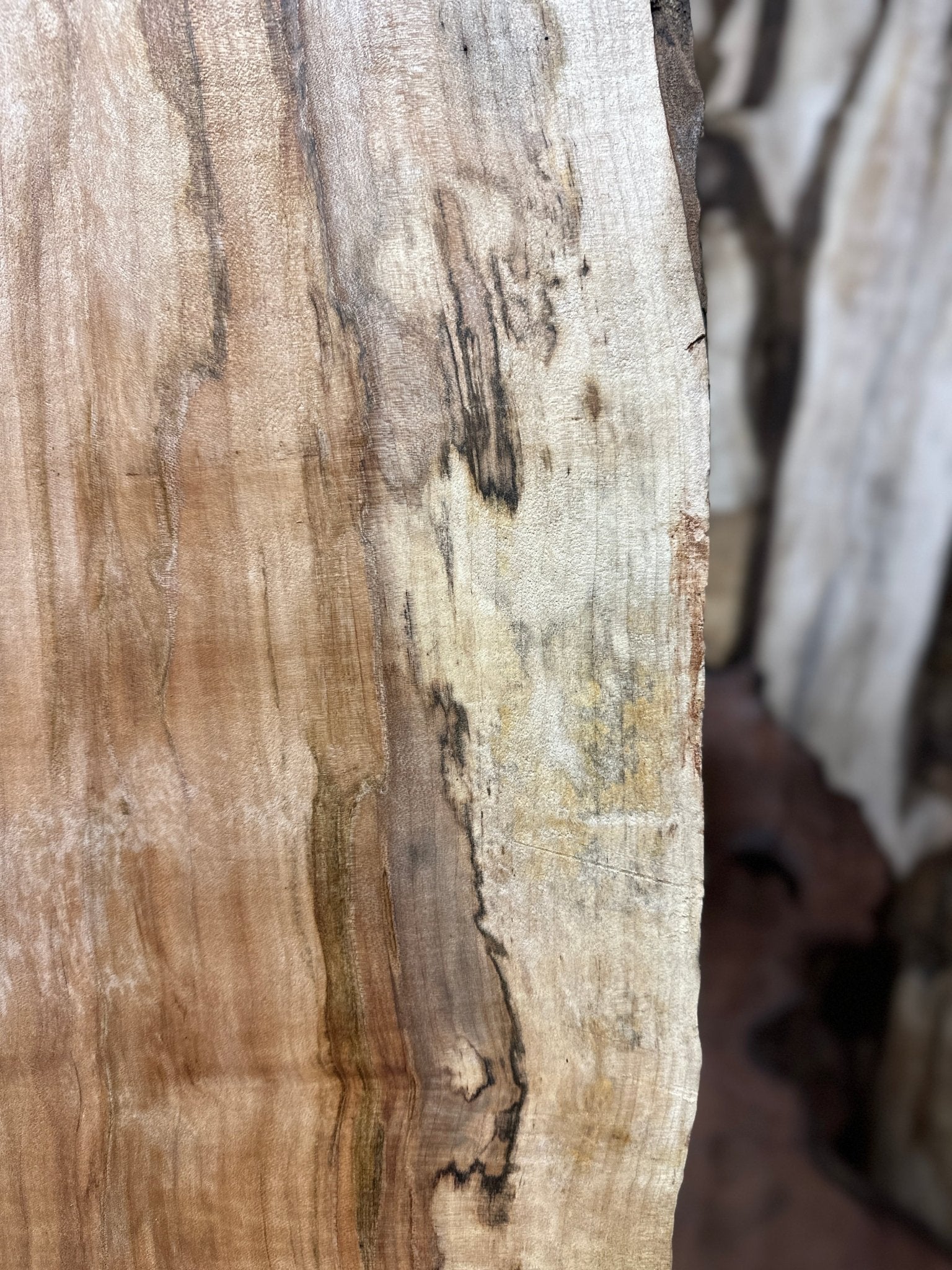 LiveEdge Silver Maple | Silver Maple | Hamilton Lee Supply