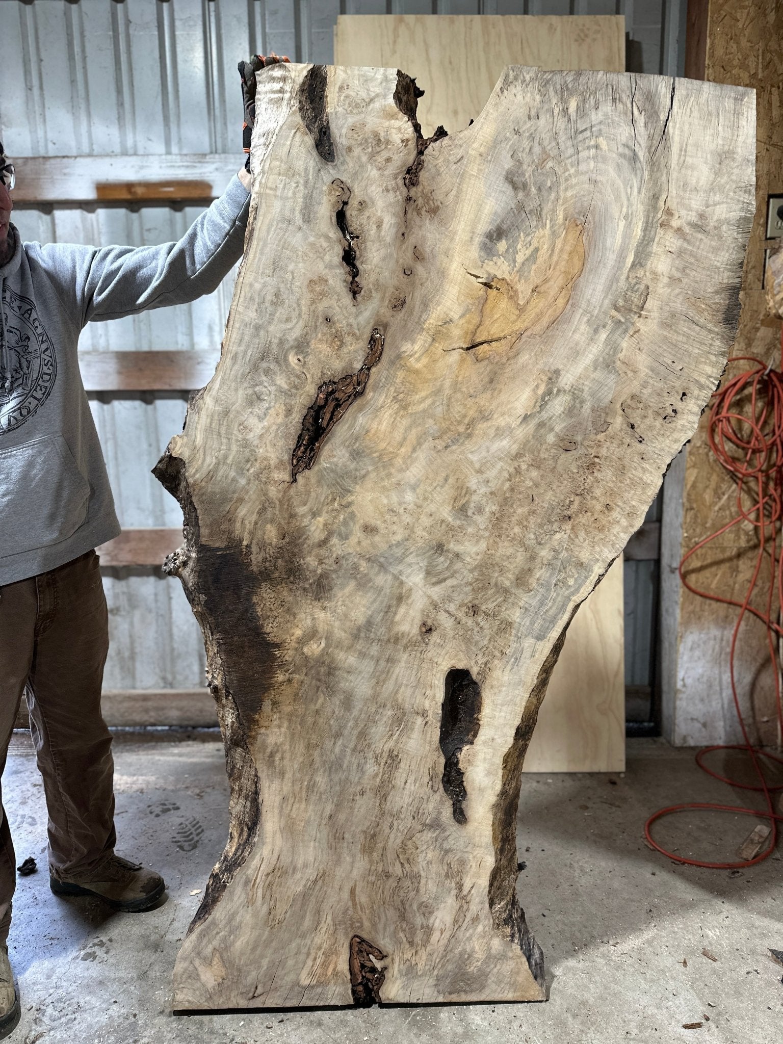 LiveEdge Silver Maple | Silver Maple | Hamilton Lee Supply
