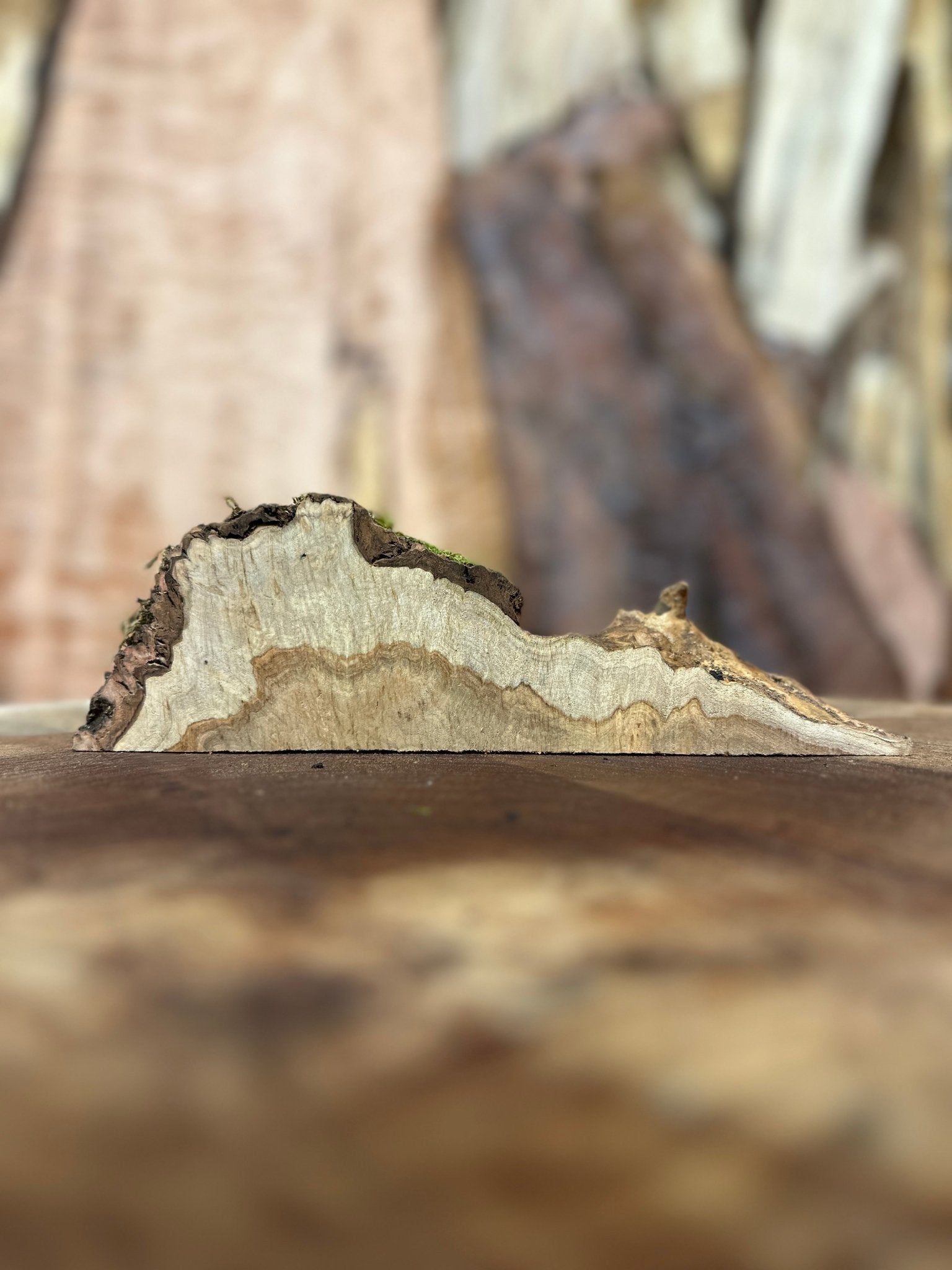 LiveEdge Silver Maple | Silver Maple | Hamilton Lee Supply