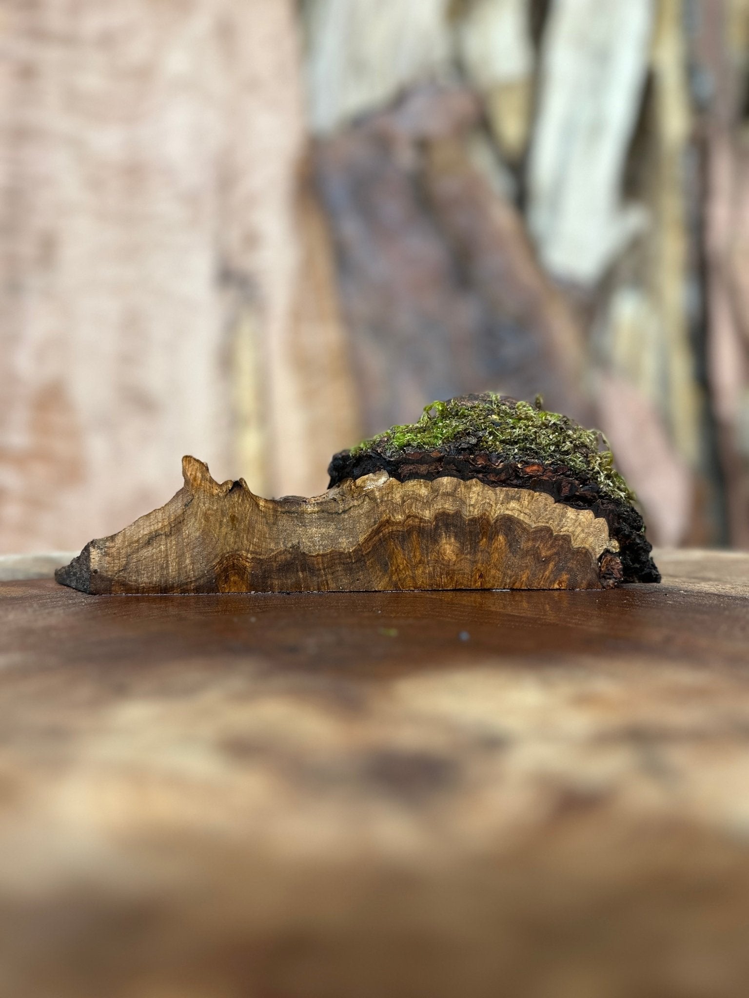 LiveEdge Silver Maple | Silver Maple | Hamilton Lee Supply