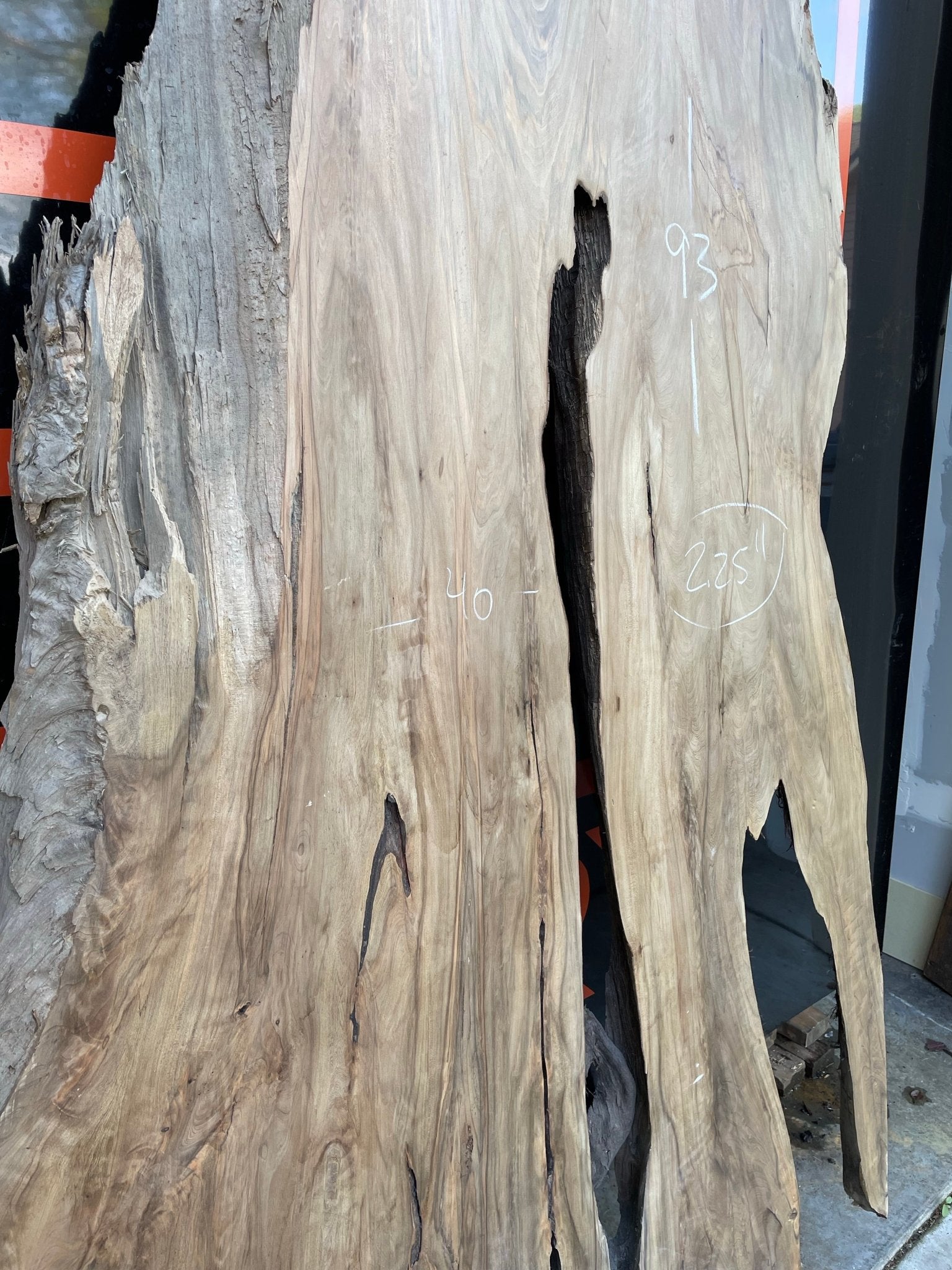 LiveEdge Sinker Cypress Rootball Cut | Sinker Cypress | Hamilton Lee Supply