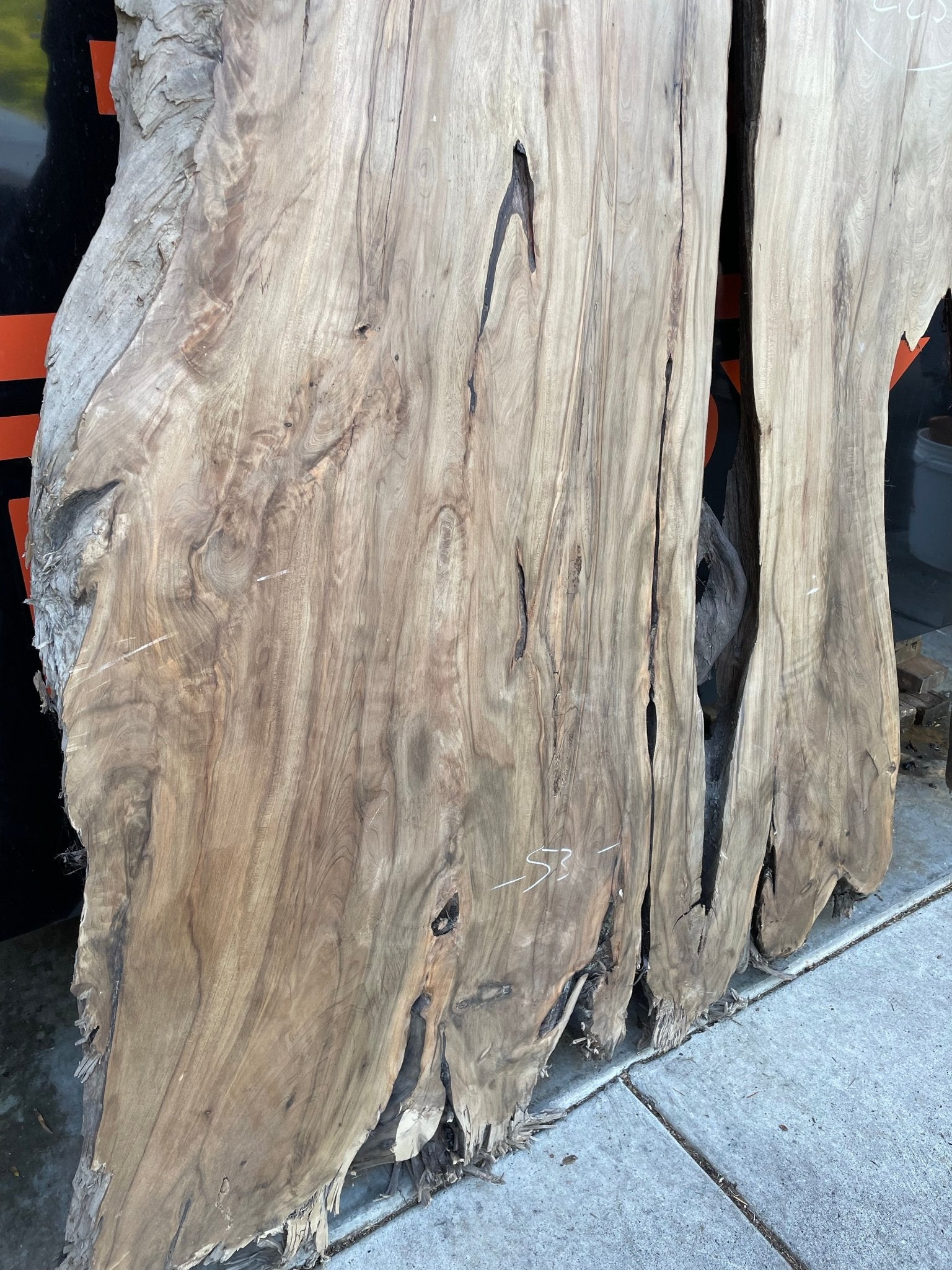 LiveEdge Sinker Cypress Rootball Cut | Sinker Cypress | Hamilton Lee Supply