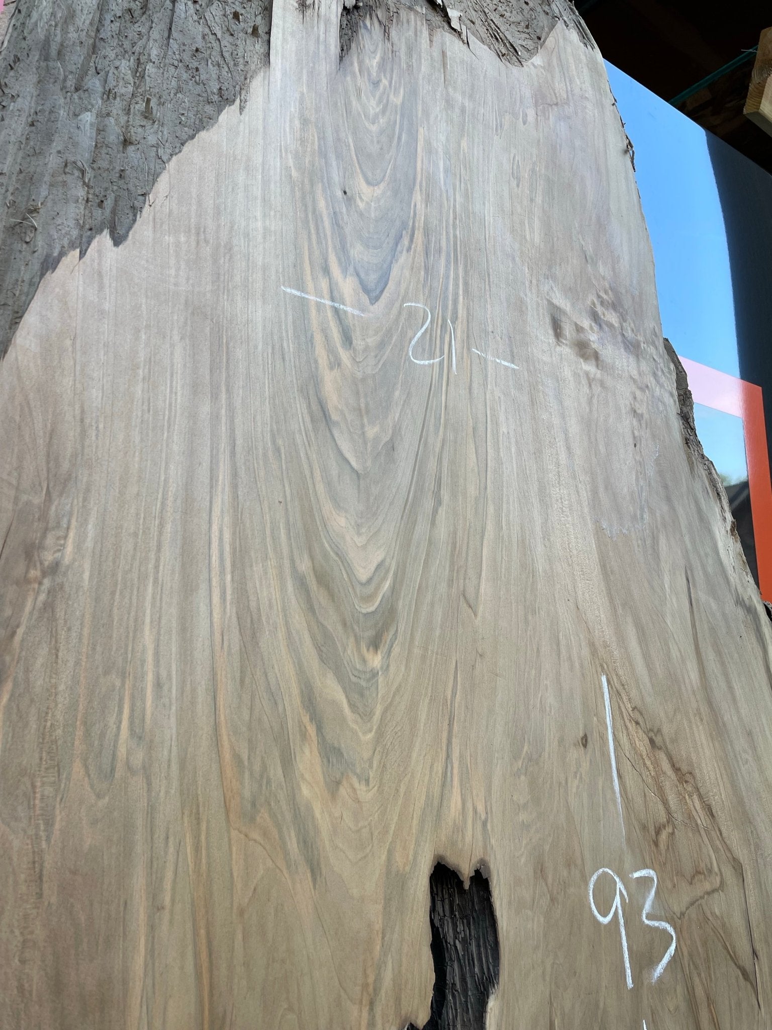 LiveEdge Sinker Cypress Rootball Cut | Sinker Cypress | Hamilton Lee Supply