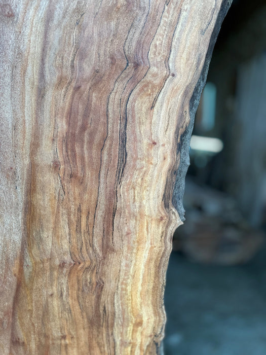 Double Diamond | LiveEdge Sycamore | Sycamore | Hamilton Lee Supply