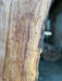 Double Diamond | LiveEdge Sycamore | Sycamore | Hamilton Lee Supply