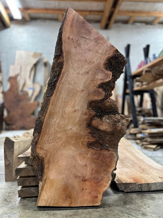 Double Diamond | LiveEdge Sycamore | Sycamore | Hamilton Lee Supply
