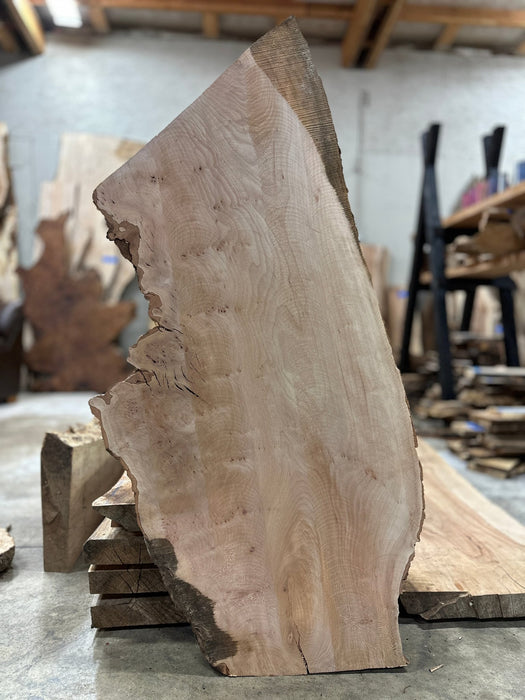 Double Diamond | LiveEdge Sycamore | Sycamore | Hamilton Lee Supply