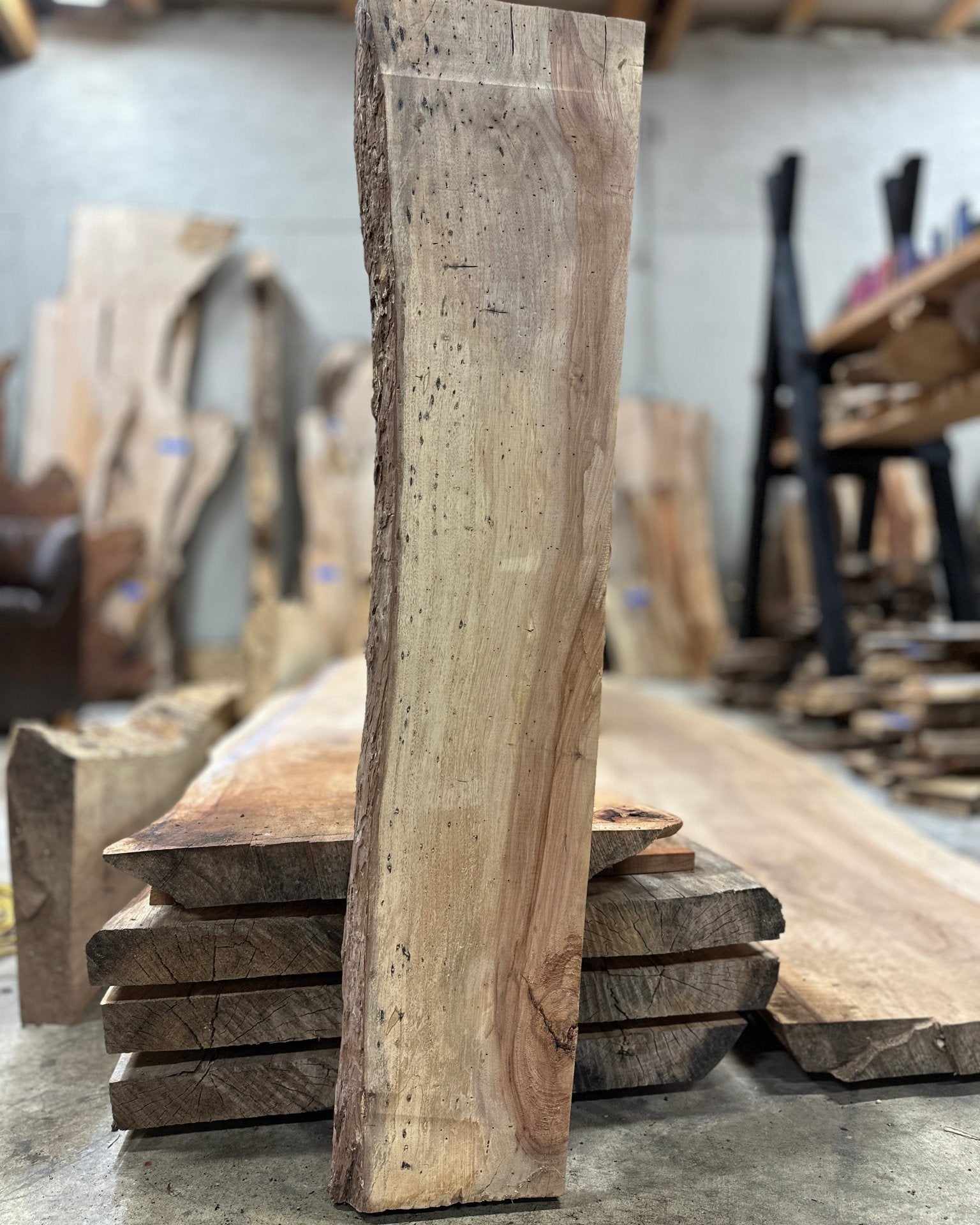 LiveEdge Texas Pecan | Craft Wood & Shapes | Hamilton Lee Supply