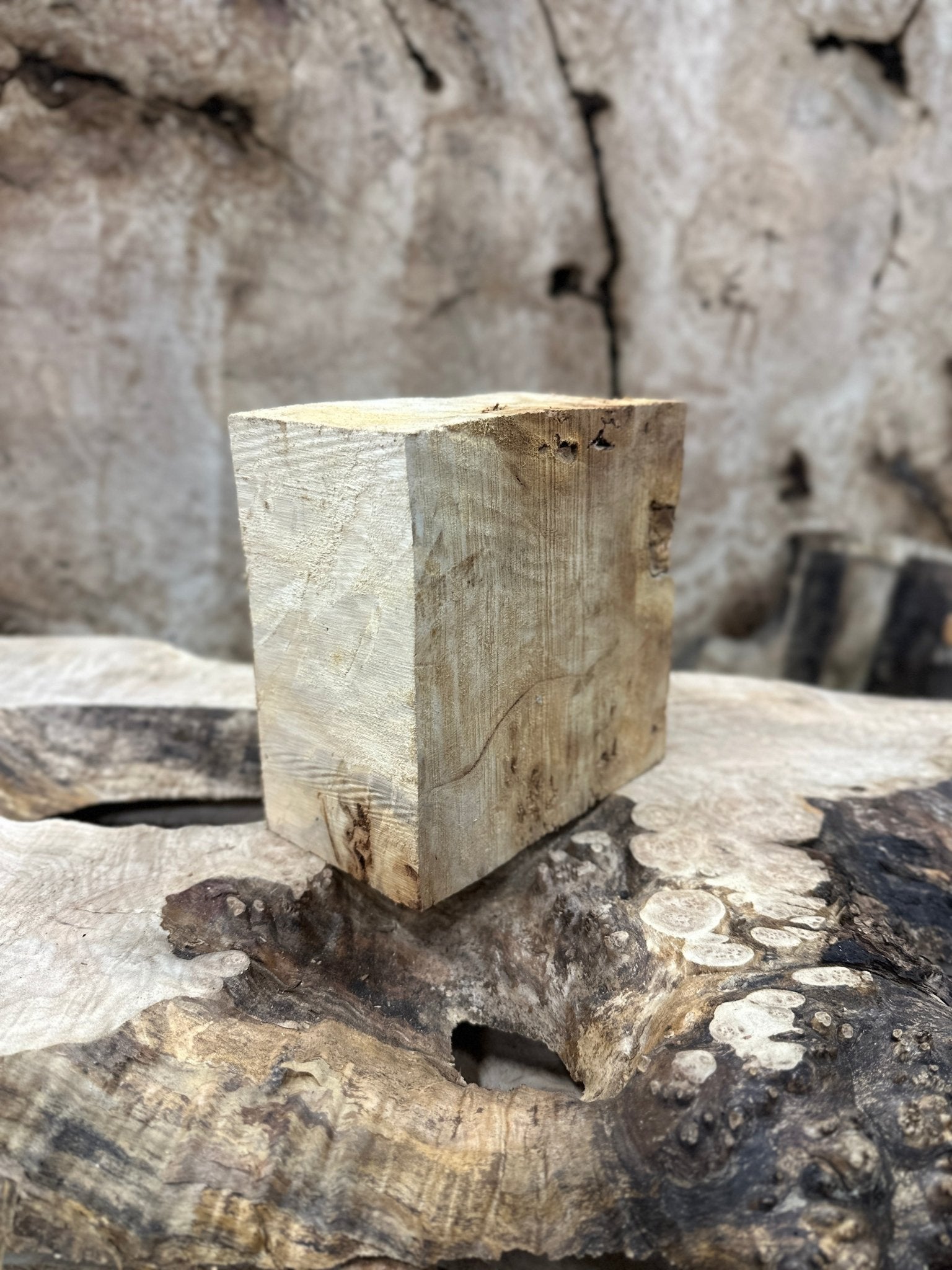 Mappa Burl Blank | Mappa Burl | Hamilton Lee Supply