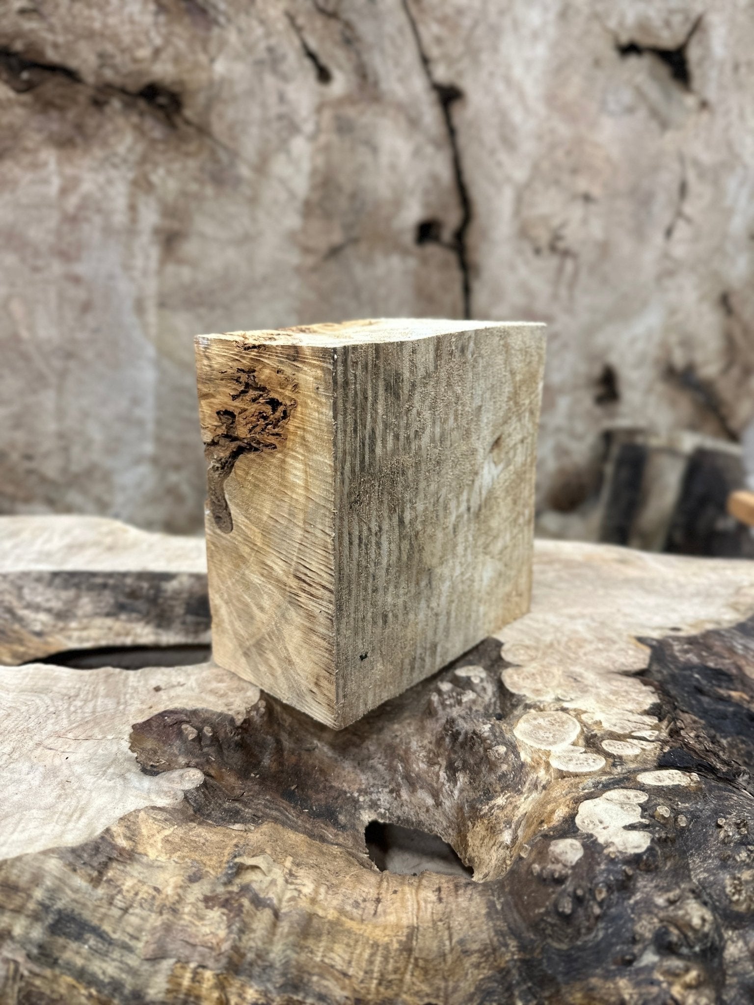 Mappa Burl Blank | Mappa Burl | Hamilton Lee Supply
