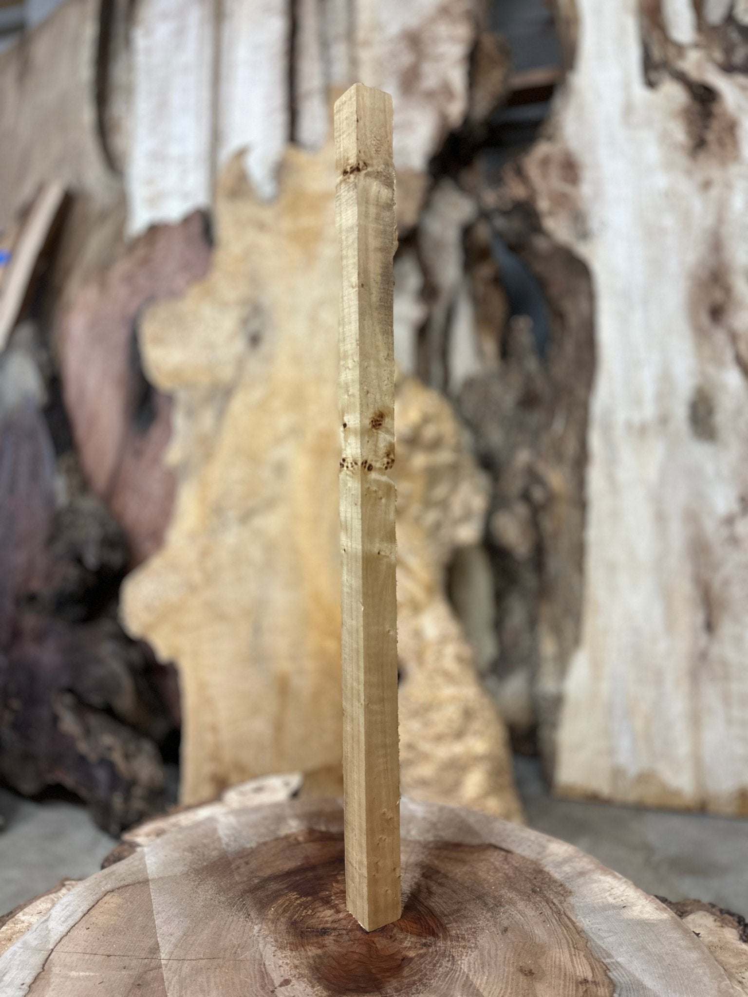 Mappa Burl Blank | Mappa Burl | Hamilton Lee Supply