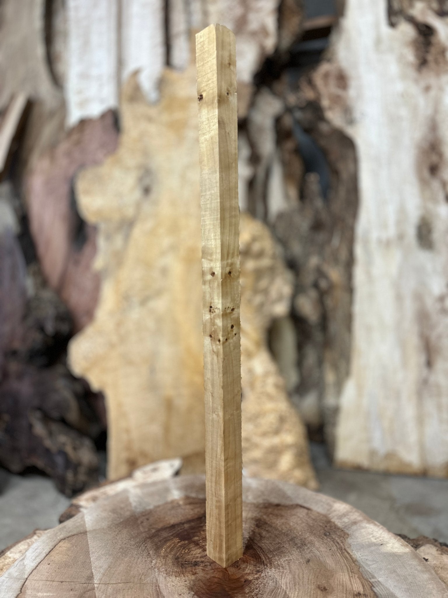 Mappa Burl Blank | Mappa Burl | Hamilton Lee Supply