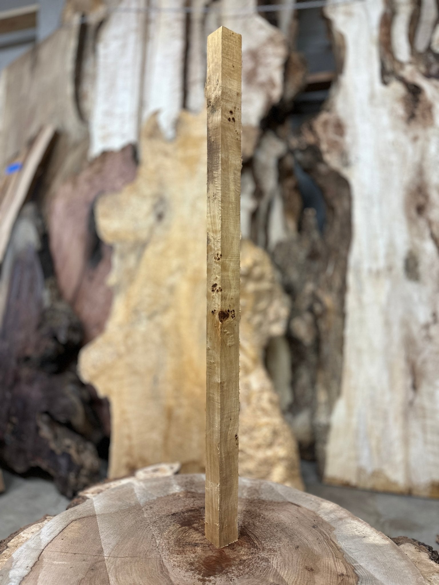 Mappa Burl Blank | Mappa Burl | Hamilton Lee Supply