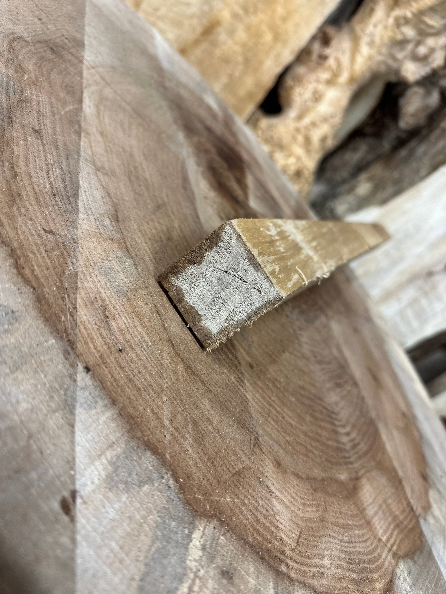 Mappa Burl Blank | Mappa Burl | Hamilton Lee Supply