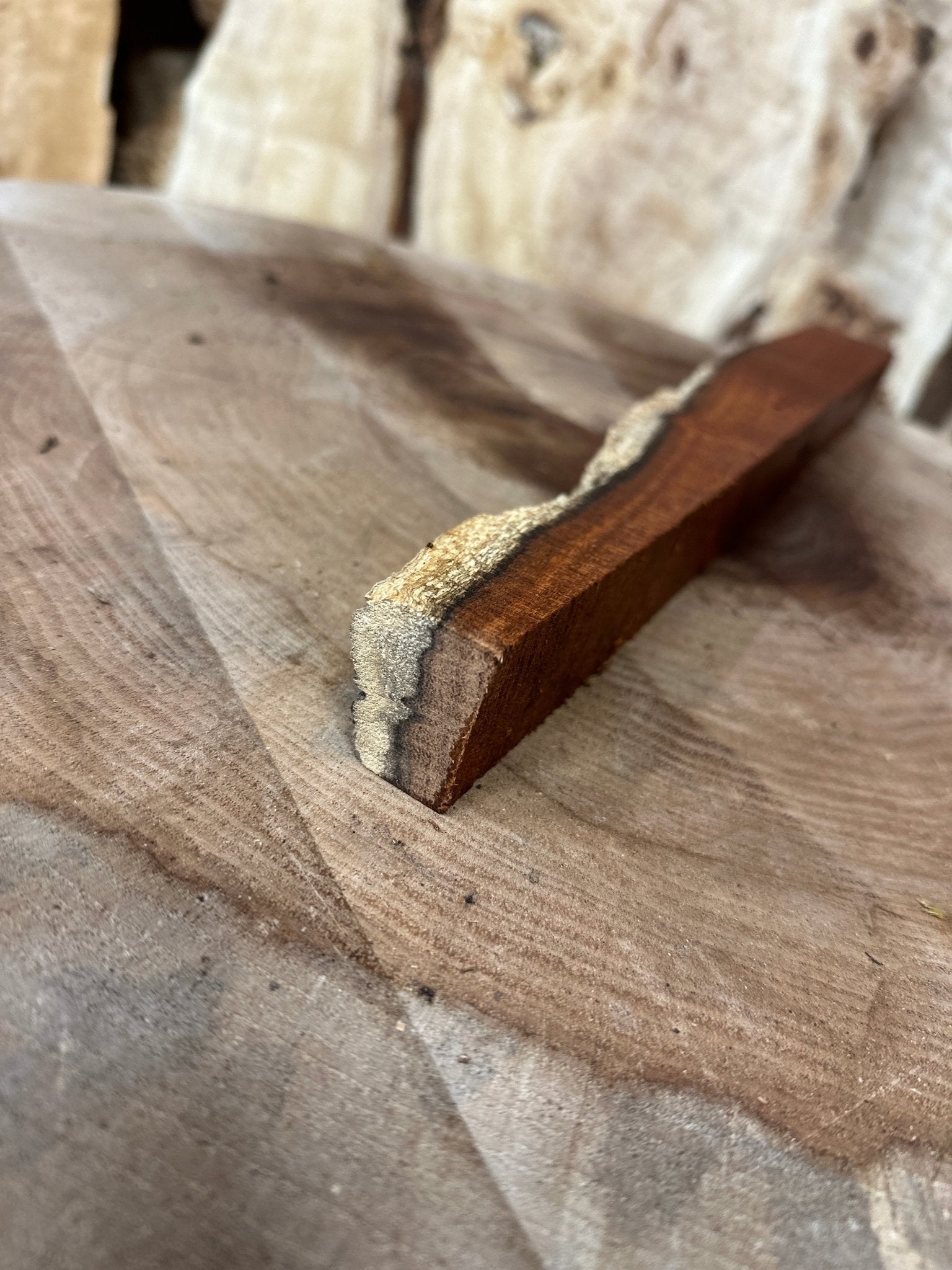 Mesquite Blank | Mesquite | Hamilton Lee Supply