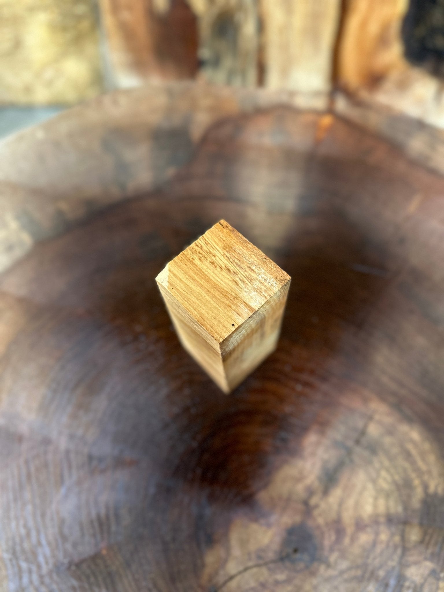 Norway Maple Call Blank | Norway Maple | Hamilton Lee Supply