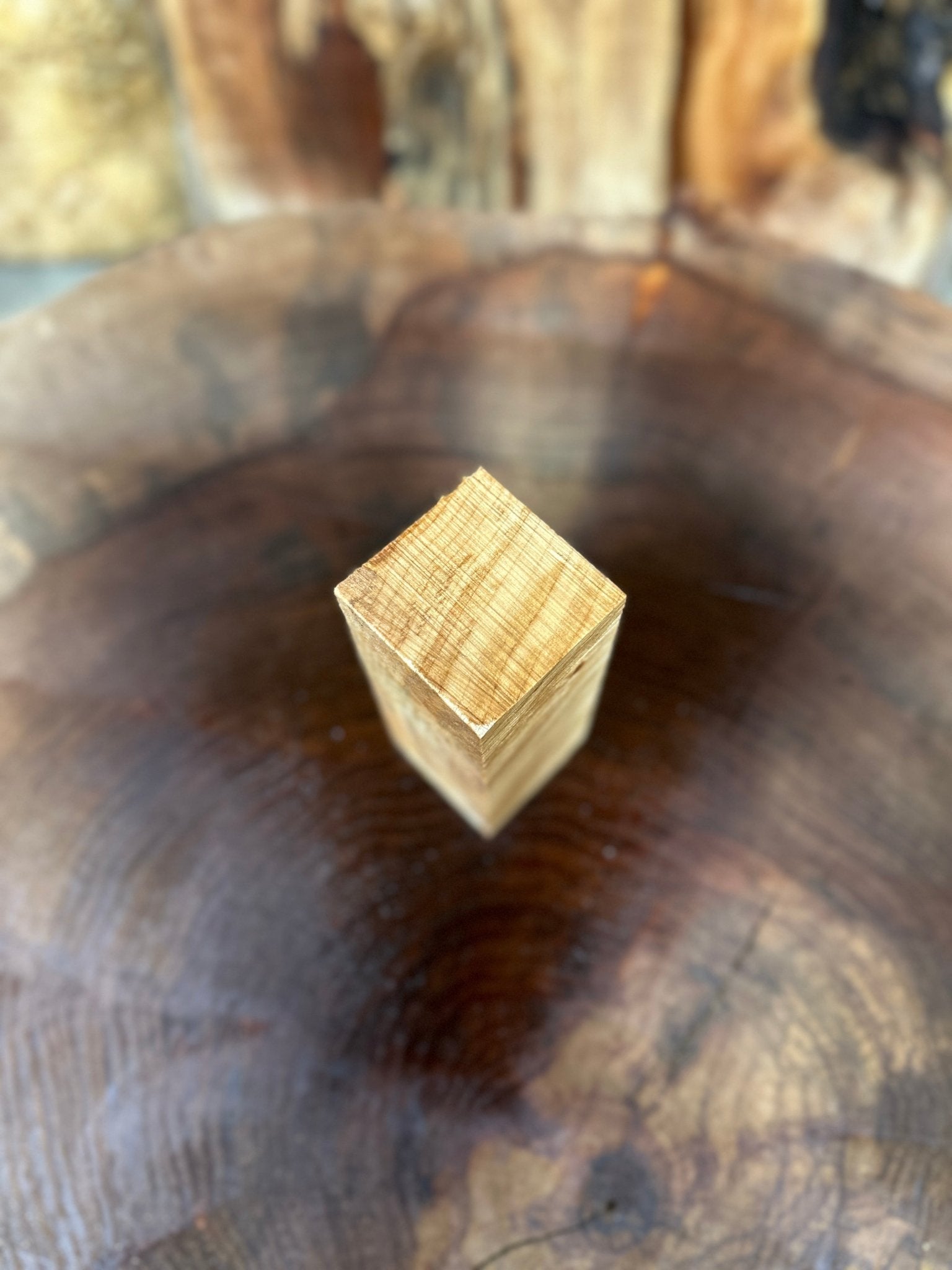 Norway Maple Call Blank | Norway Maple | Hamilton Lee Supply