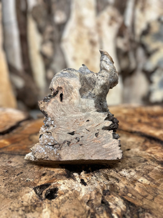 RedFalcon | LiveEdge Big Leaf Maple Burl | Big Leaf Maple | Hamilton Lee Supply