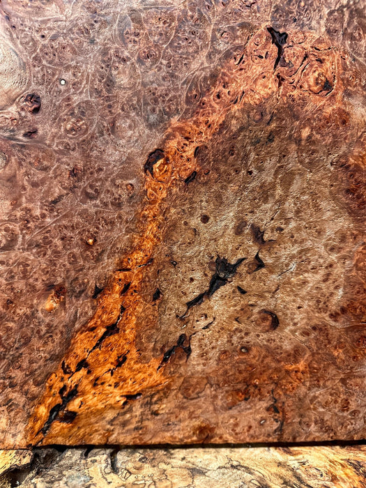RedFalcon | LiveEdge Big Leaf Maple Burl | Big Leaf Maple | Hamilton Lee Supply