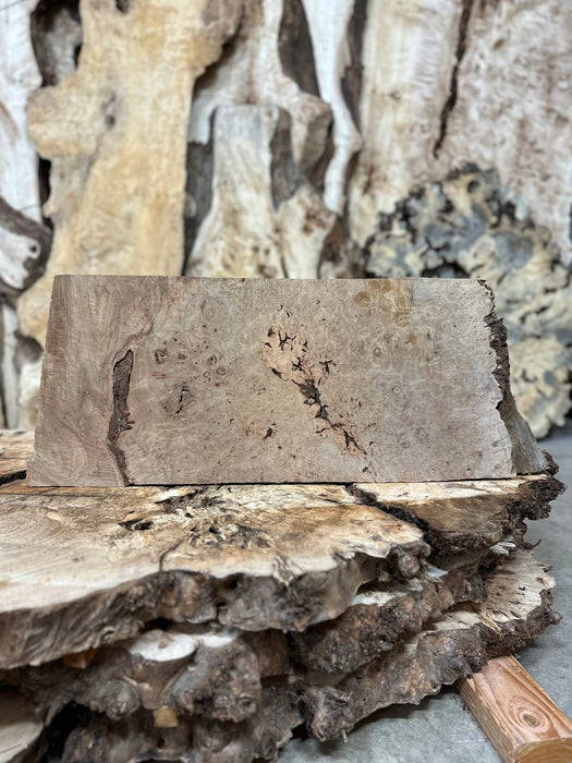 RedFalcon | LiveEdge Big Leaf Maple Burl | Big Leaf Maple | Hamilton Lee Supply