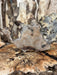RedFalcon | LiveEdge Big Leaf Maple Burl | Big Leaf Maple | Hamilton Lee Supply