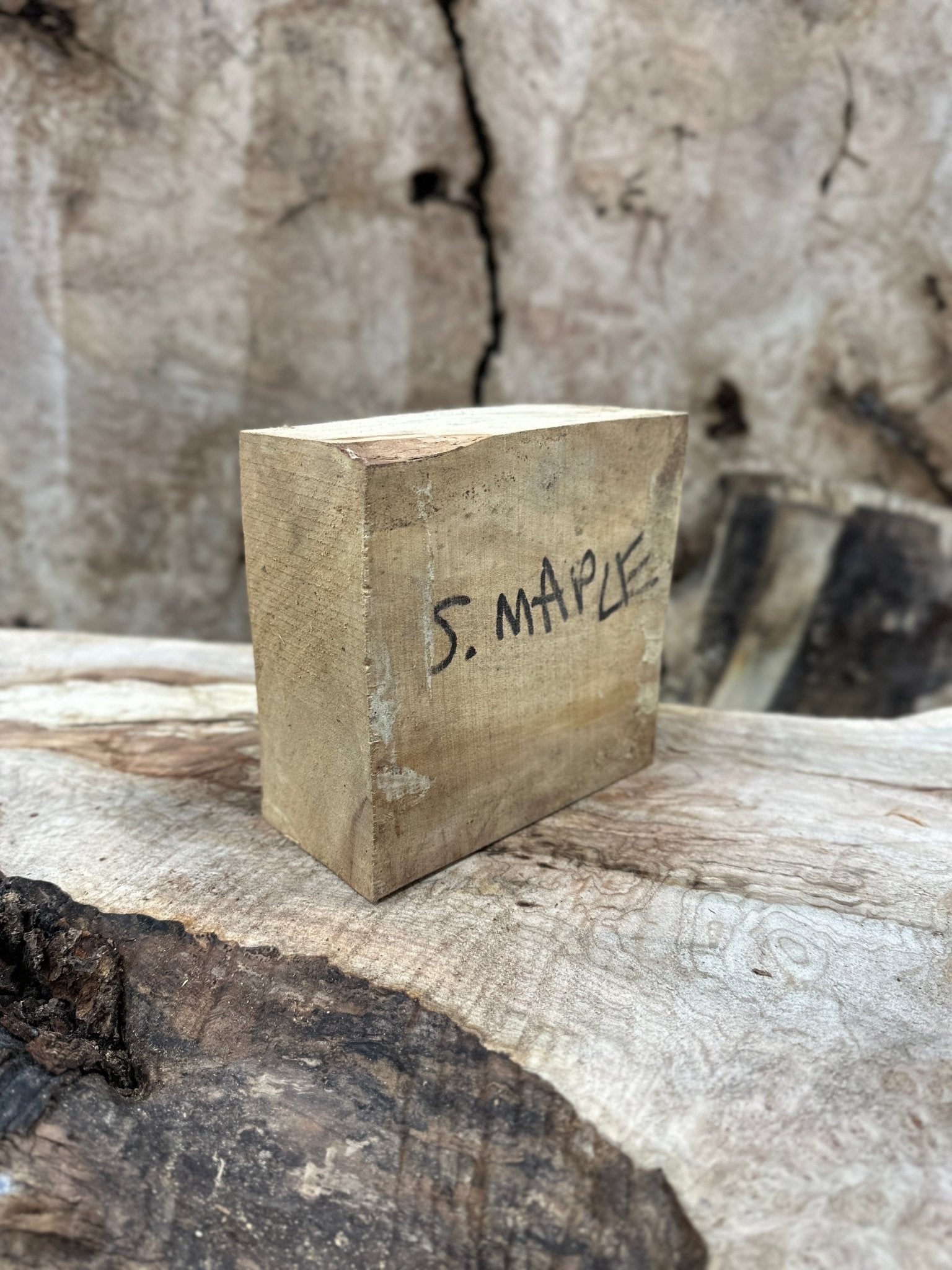Silver Maple Blank | Silver Maple | Hamilton Lee Supply