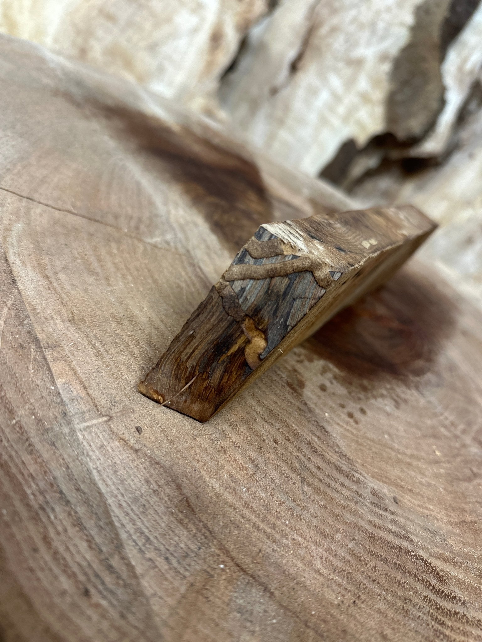 Silver Maple Blank | Silver Maple | Hamilton Lee Supply