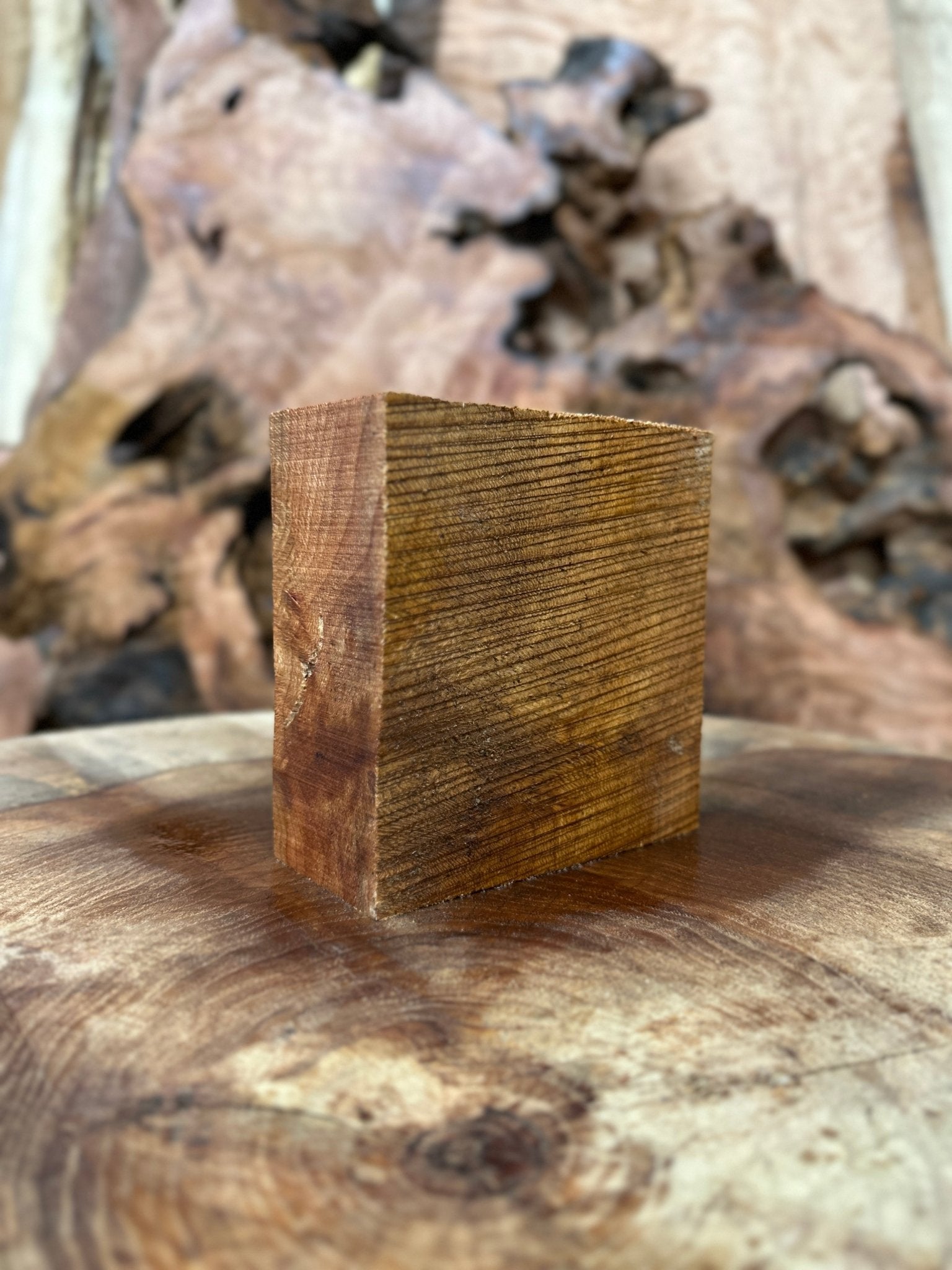 Sycamore Blank | Sycamore | Double Diamond