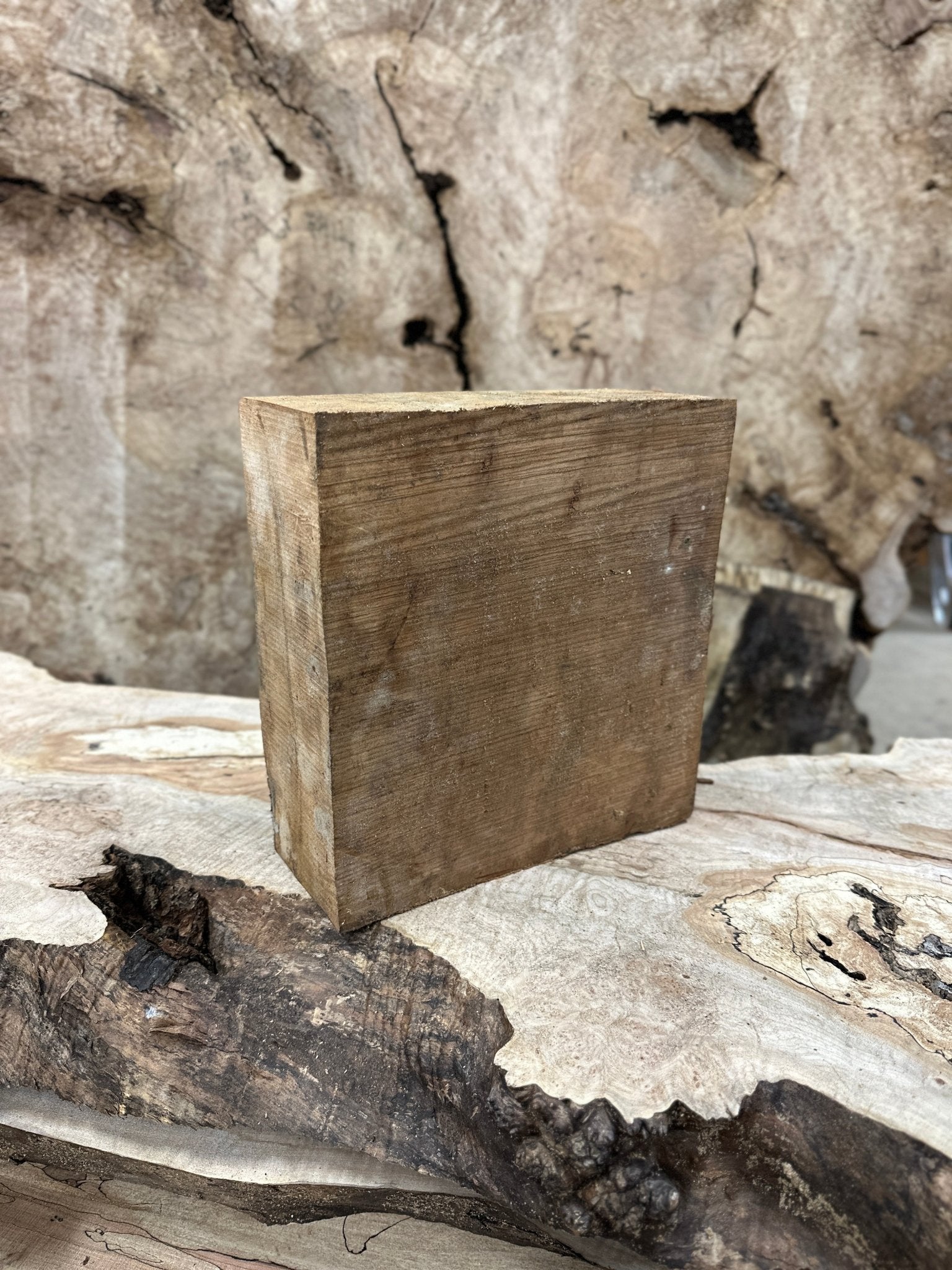 Willow Blank | Willow | Hamilton Lee Supply