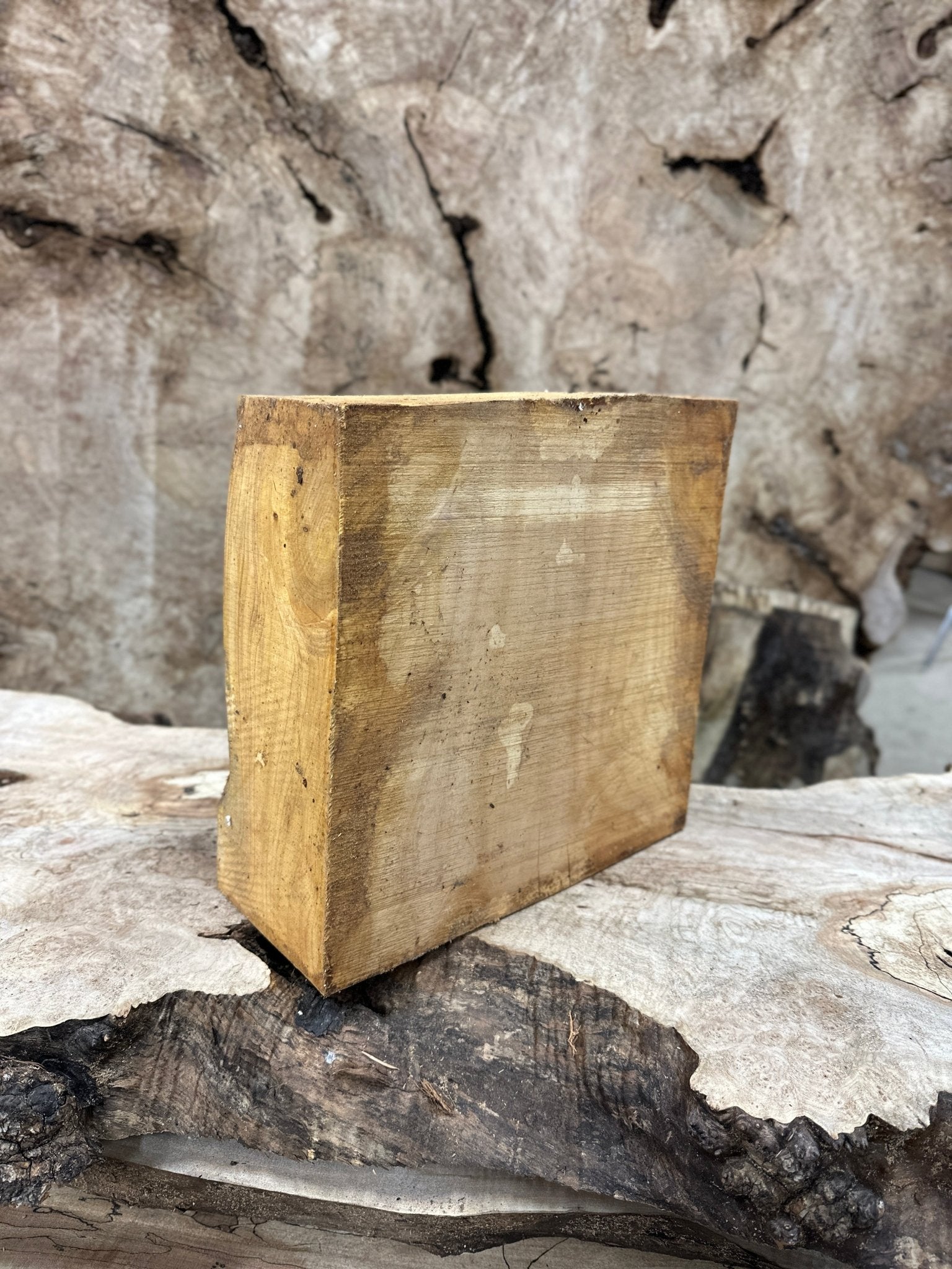 Yellow Cedar Blank | Yellow Cedar | Hamilton Lee Supply